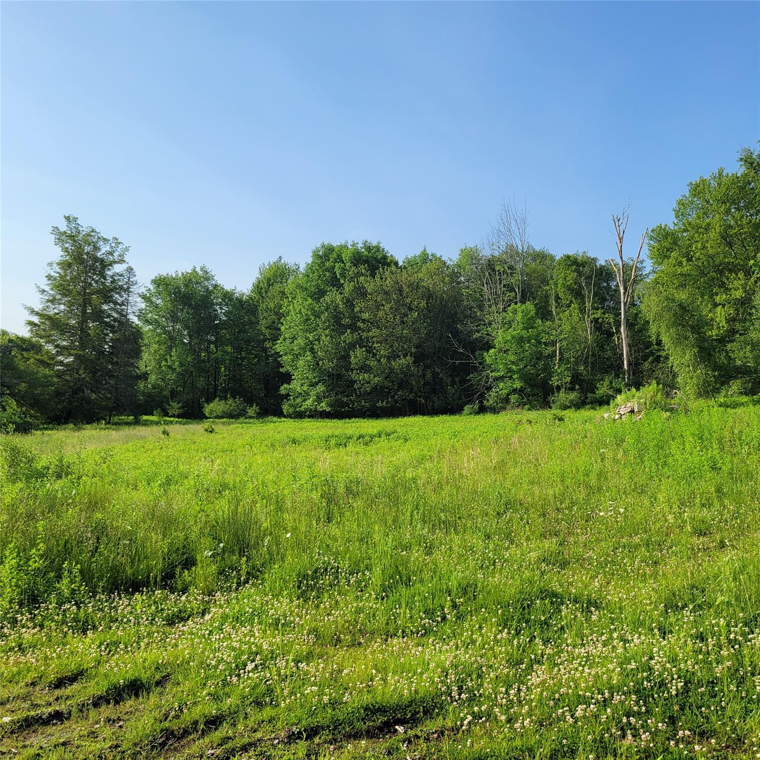 #8 photo, 1283 Old Route 17, Harris , NY 12734