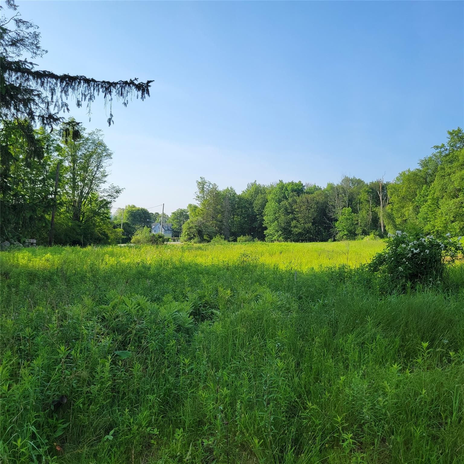 #9 photo, 1283 Old Route 17, Harris , NY 12734