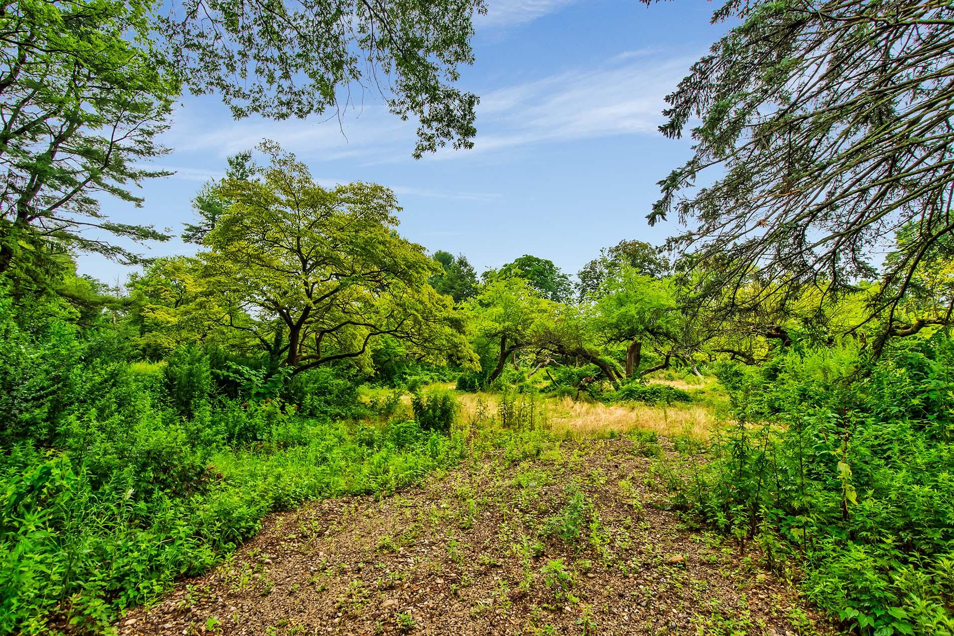 #5 photo, 168 Hegemans Lane, ナッソー郡 Old Brookville , NY 11545