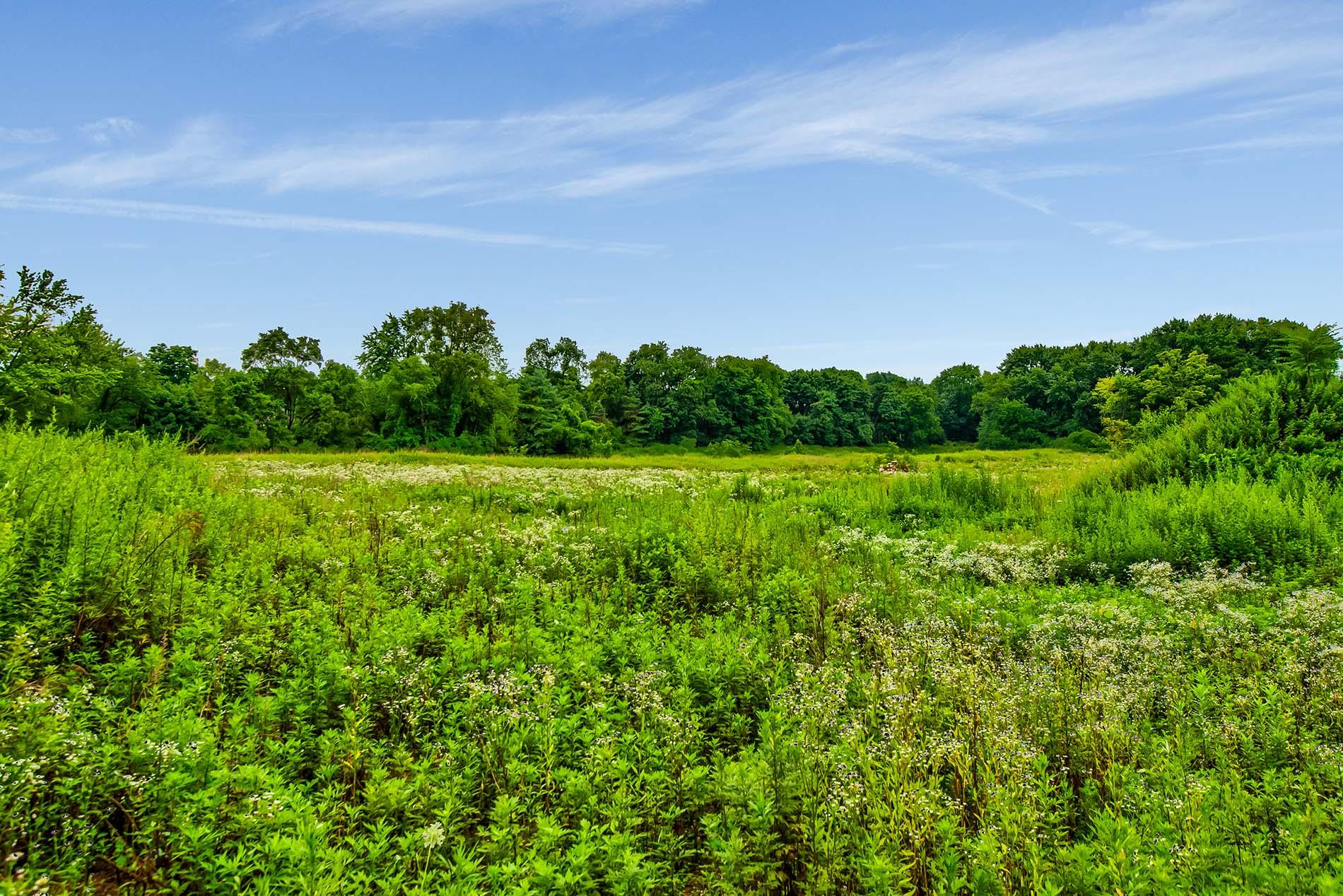 #4 photo, 172 Hegemans Lane, ナッソー郡 Old Brookville , NY 11545