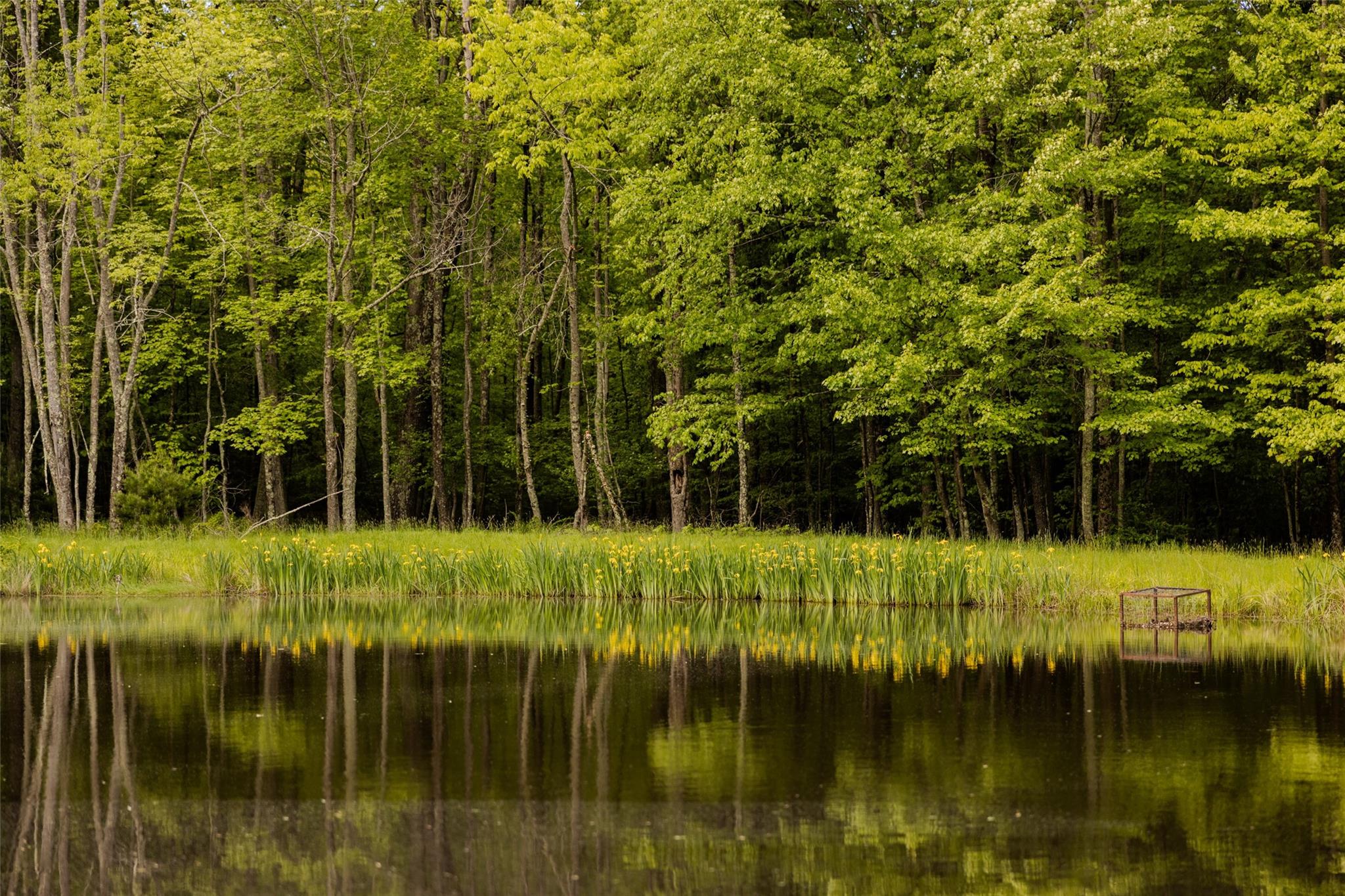 #11 photo, 763 County Road 114, Cochecton , NY 12726