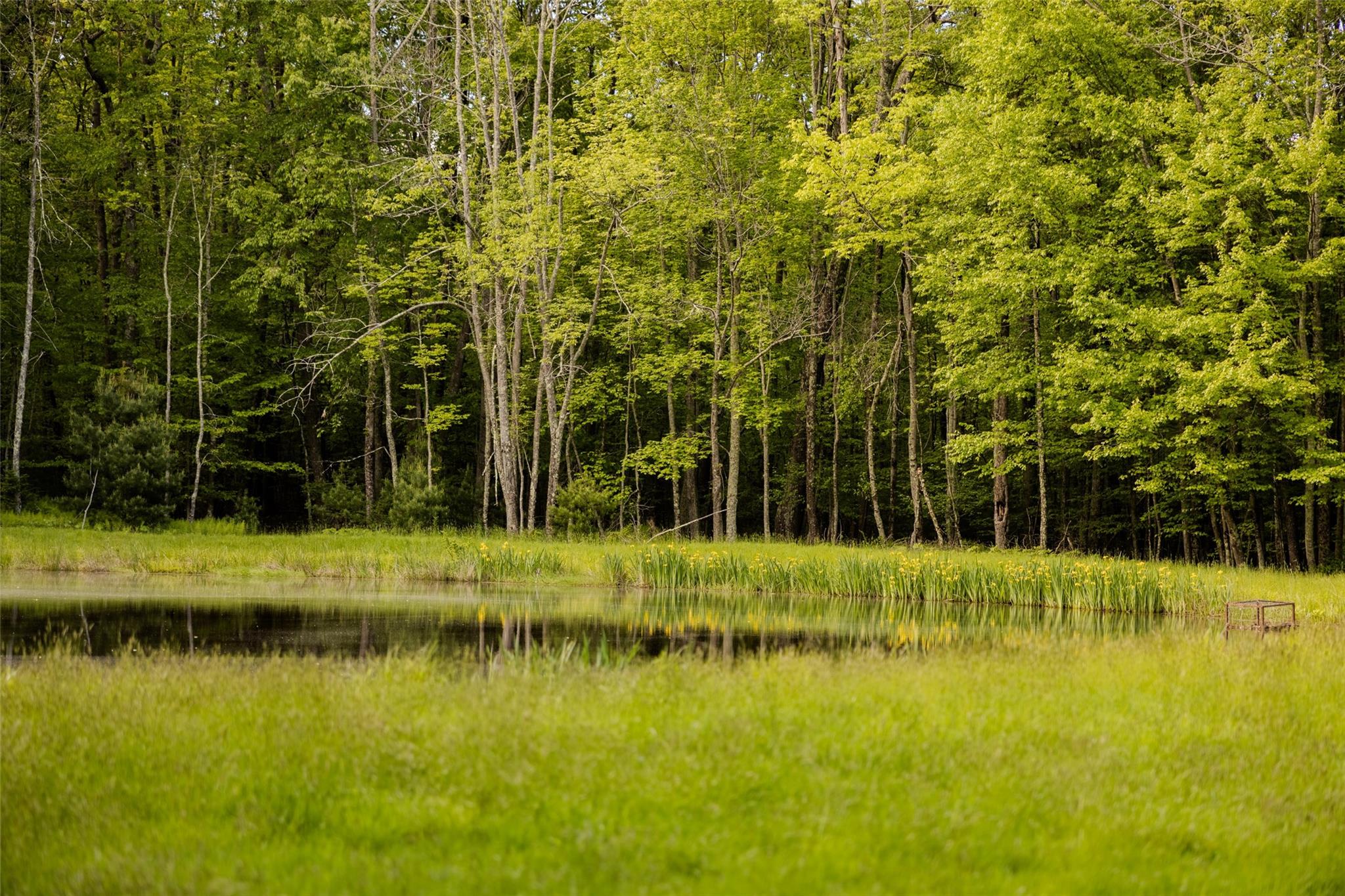 #12 photo, 763 County Road 114, Cochecton , NY 12726