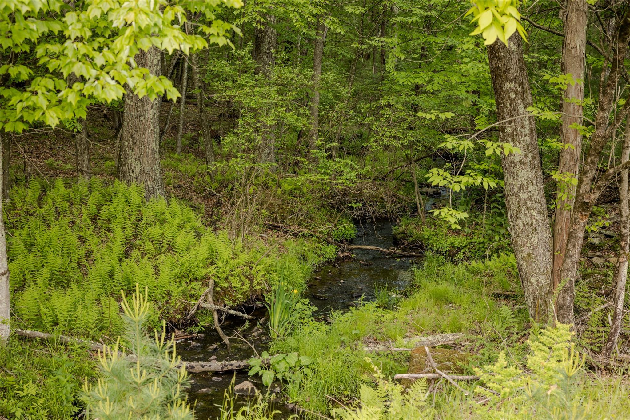 #13 photo, 763 County Road 114, Cochecton , NY 12726