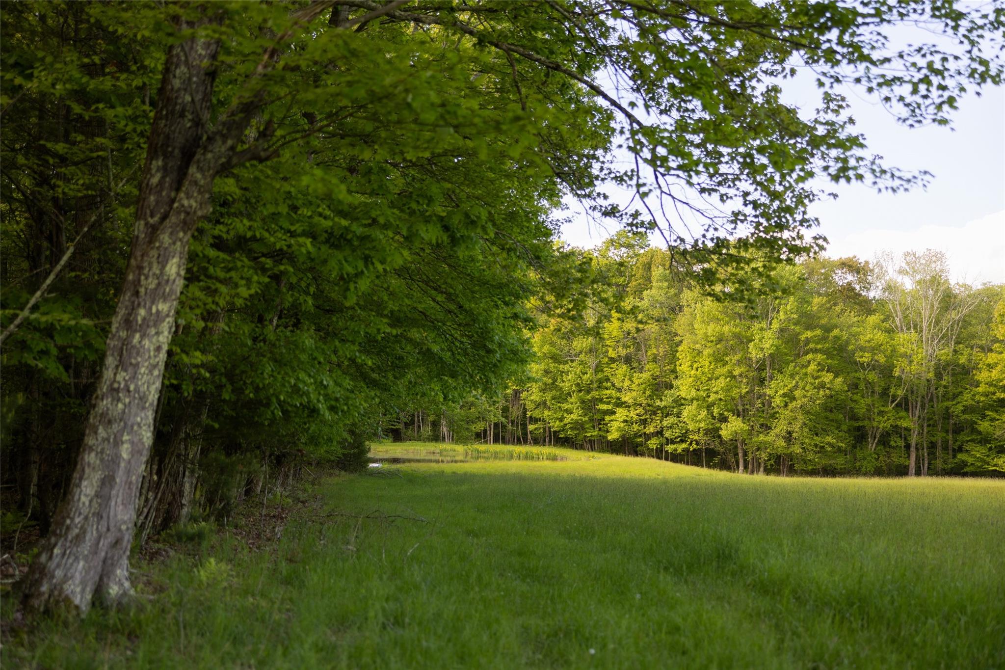 #18 photo, 763 County Road 114, Cochecton , NY 12726