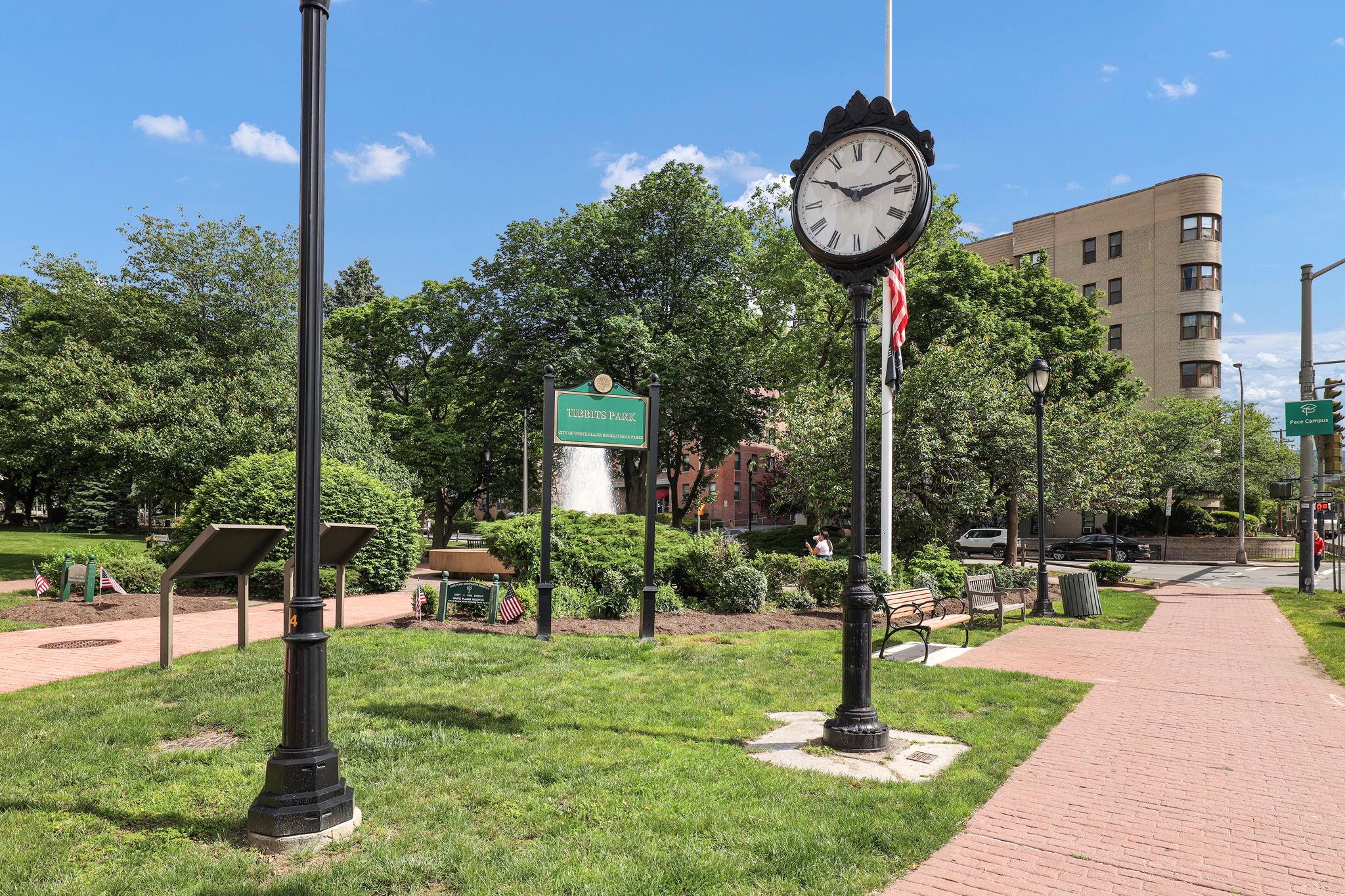 #19 photo, 10 North Broadway, White Plains , NY 10601