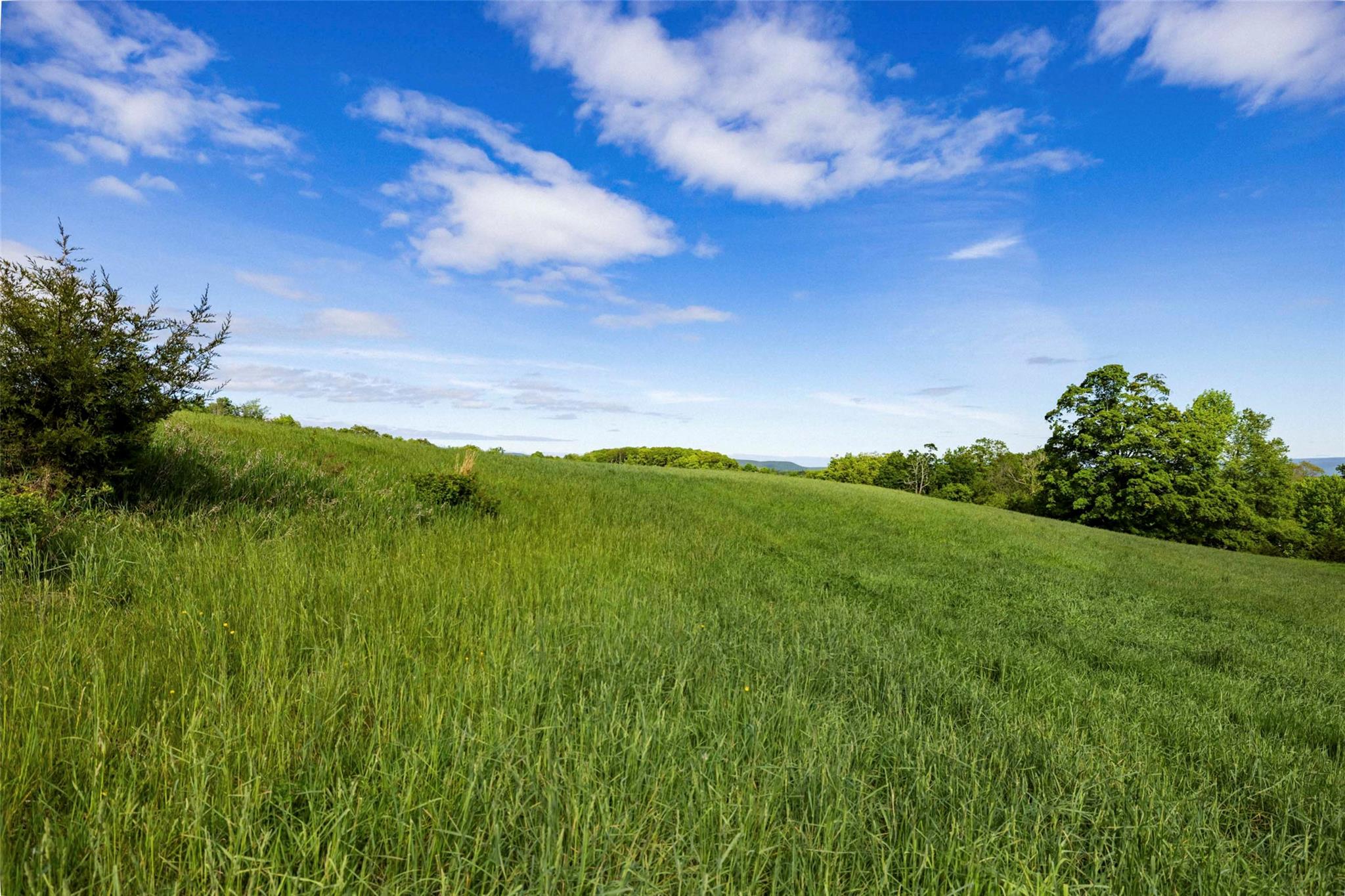 #3 photo, 15 Red Rock Road, Wawarsing , NY 12489