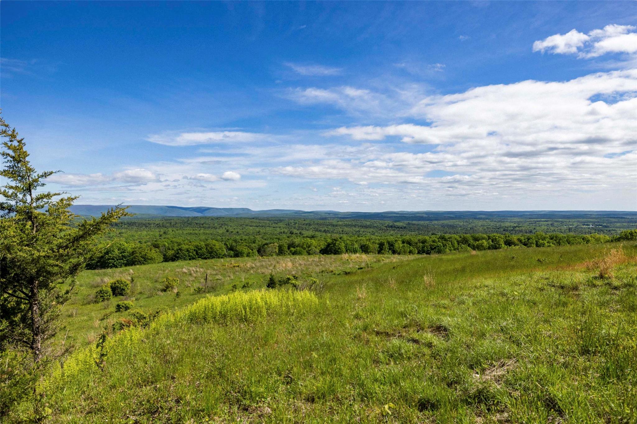 #4 photo, 19 Red Rock Road, Wawarsing , NY 12489