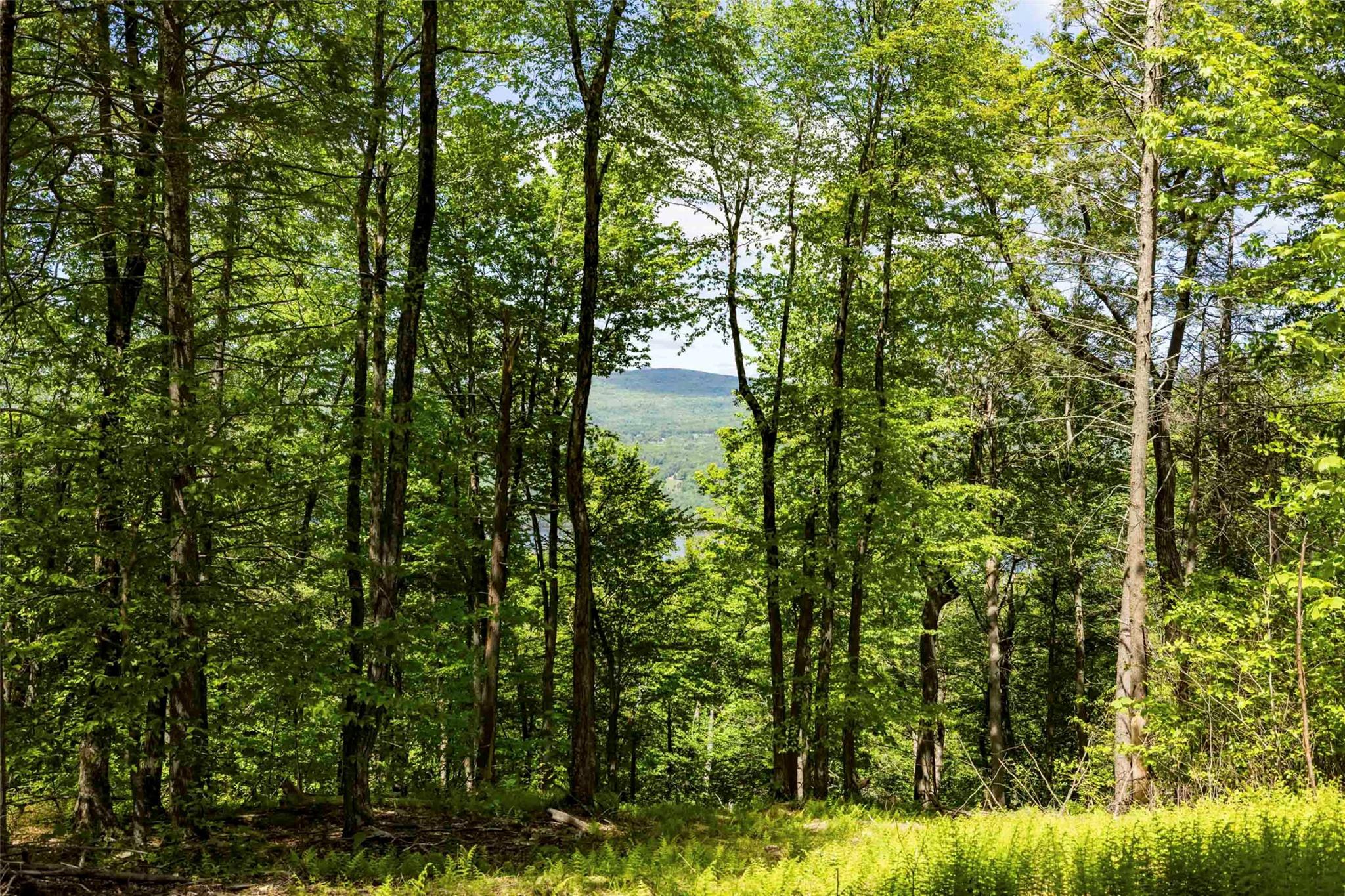 #3 photo, 2 Red Rock Road, Wawarsing , NY 