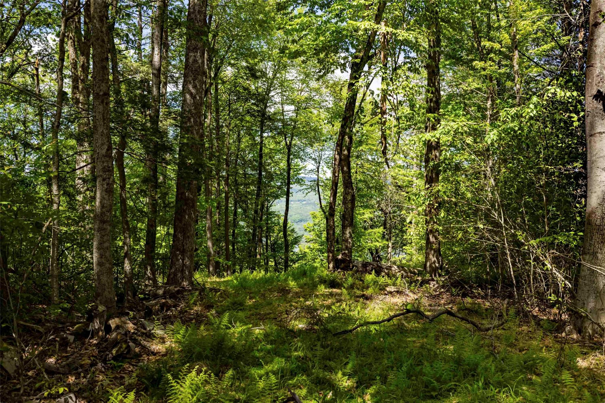 #4 photo, 2 Red Rock Road, Wawarsing , NY 