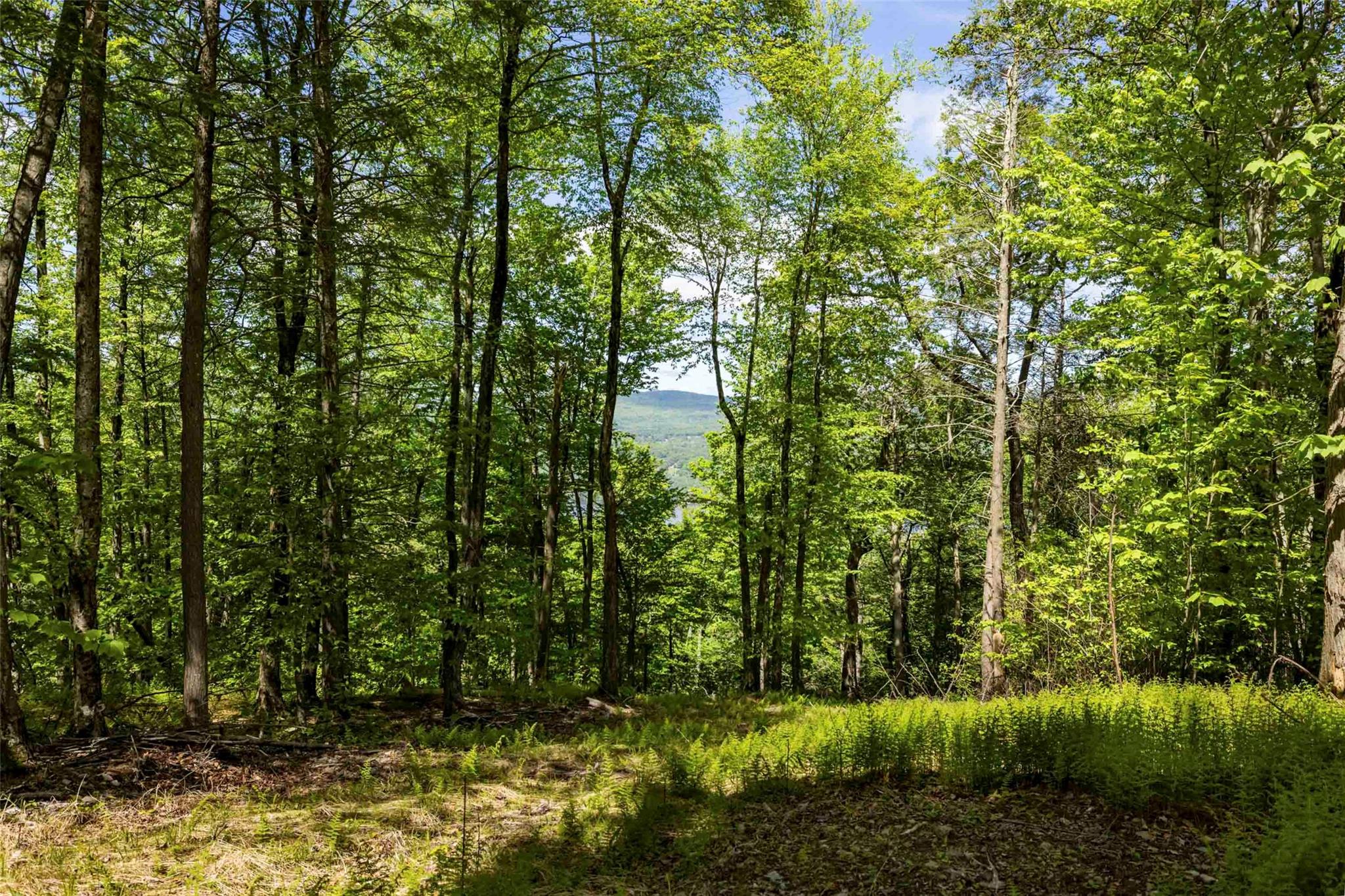 #5 photo, 2 Red Rock Road, Wawarsing , NY 