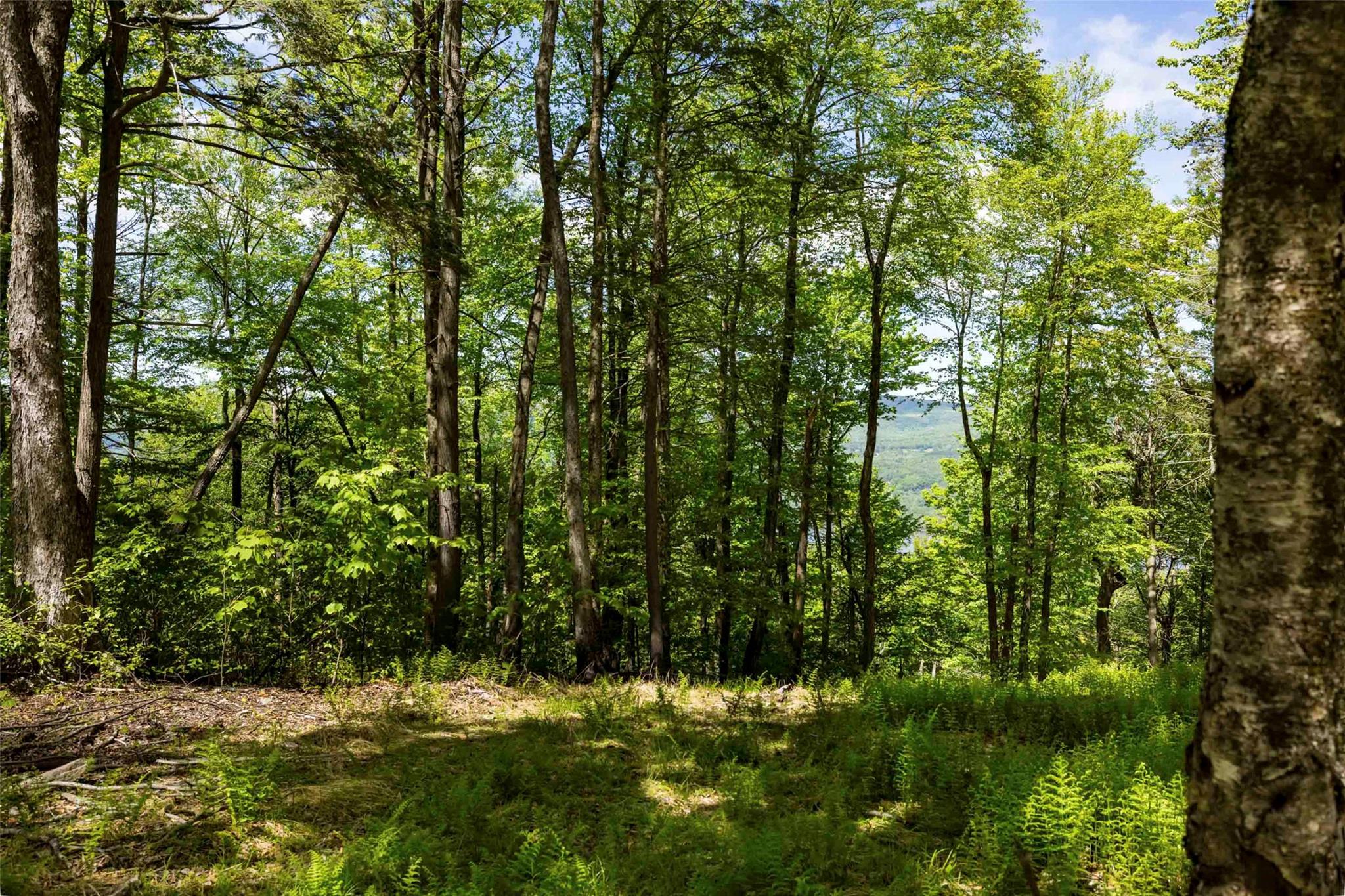 #6 photo, 2 Red Rock Road, Wawarsing , NY 