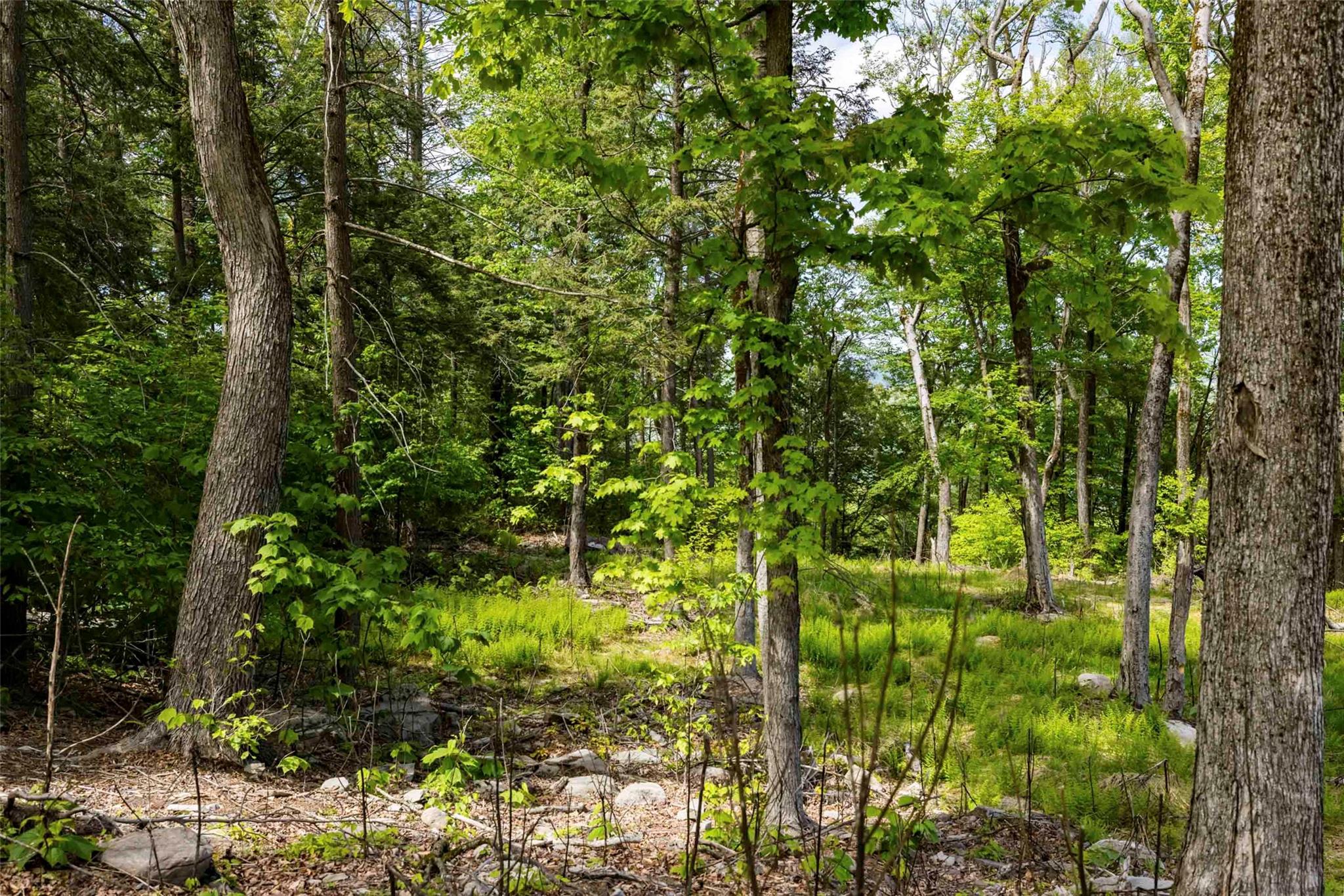 #8 photo, 2 Red Rock Road, Wawarsing , NY 