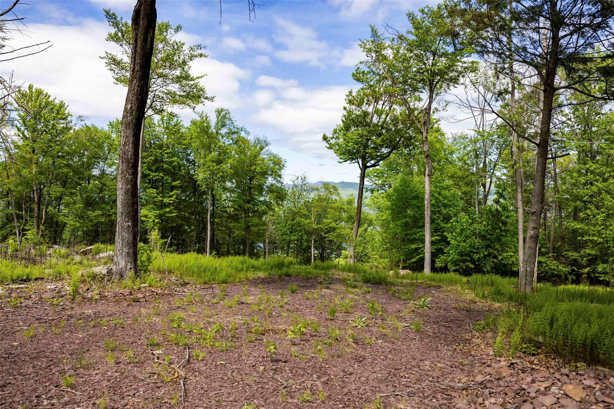 #10 photo, 3 Red Rock Road, Wawarsing , NY 12489