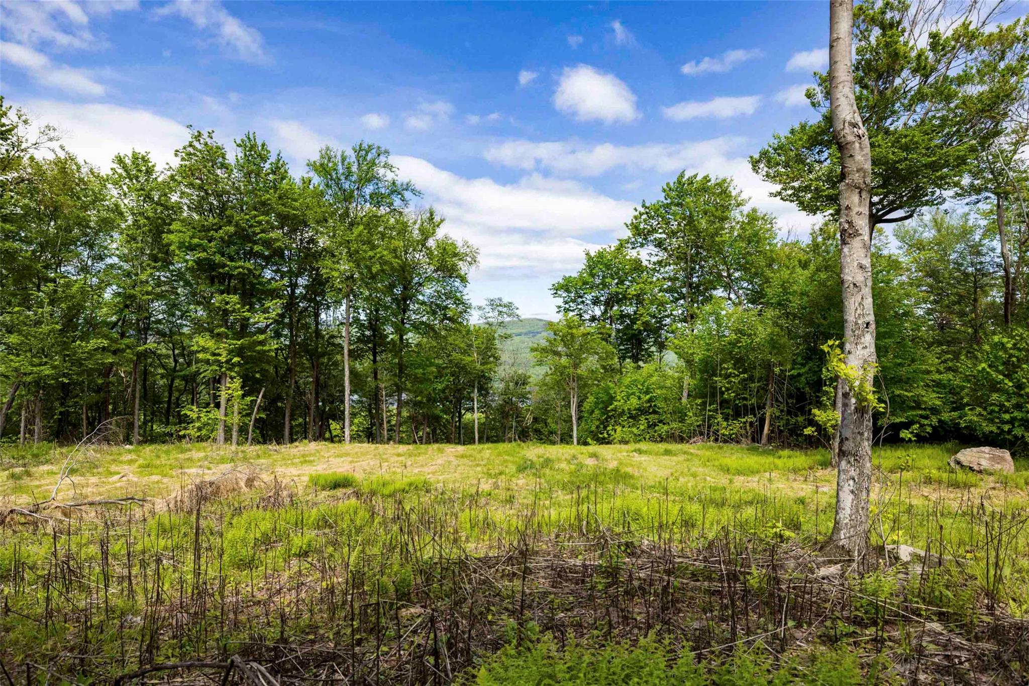 #9 photo, 3 Red Rock Road, Wawarsing , NY 12489