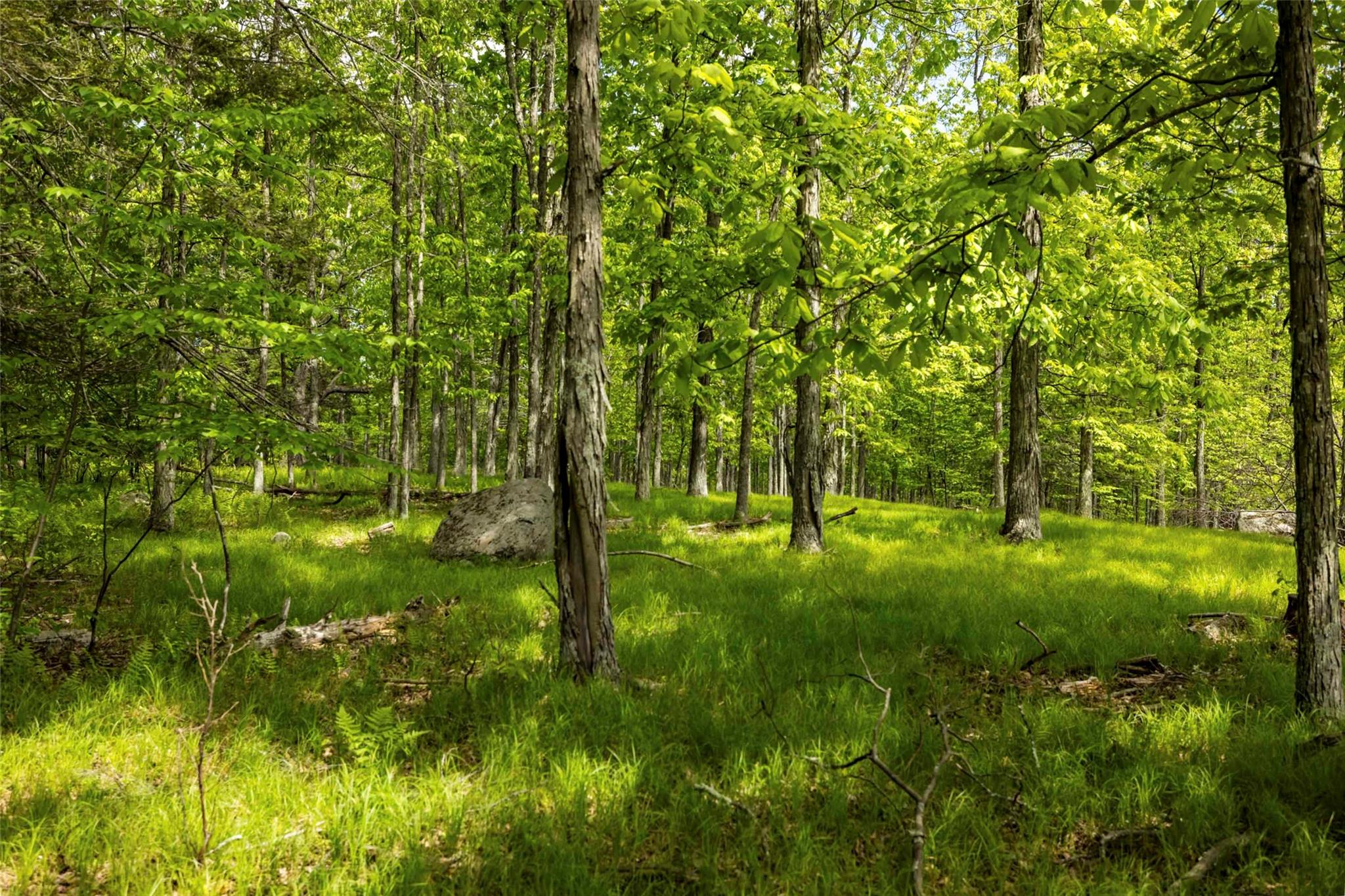 #10 photo, 8 Forest Camp Road, Wawarsing , NY 12489