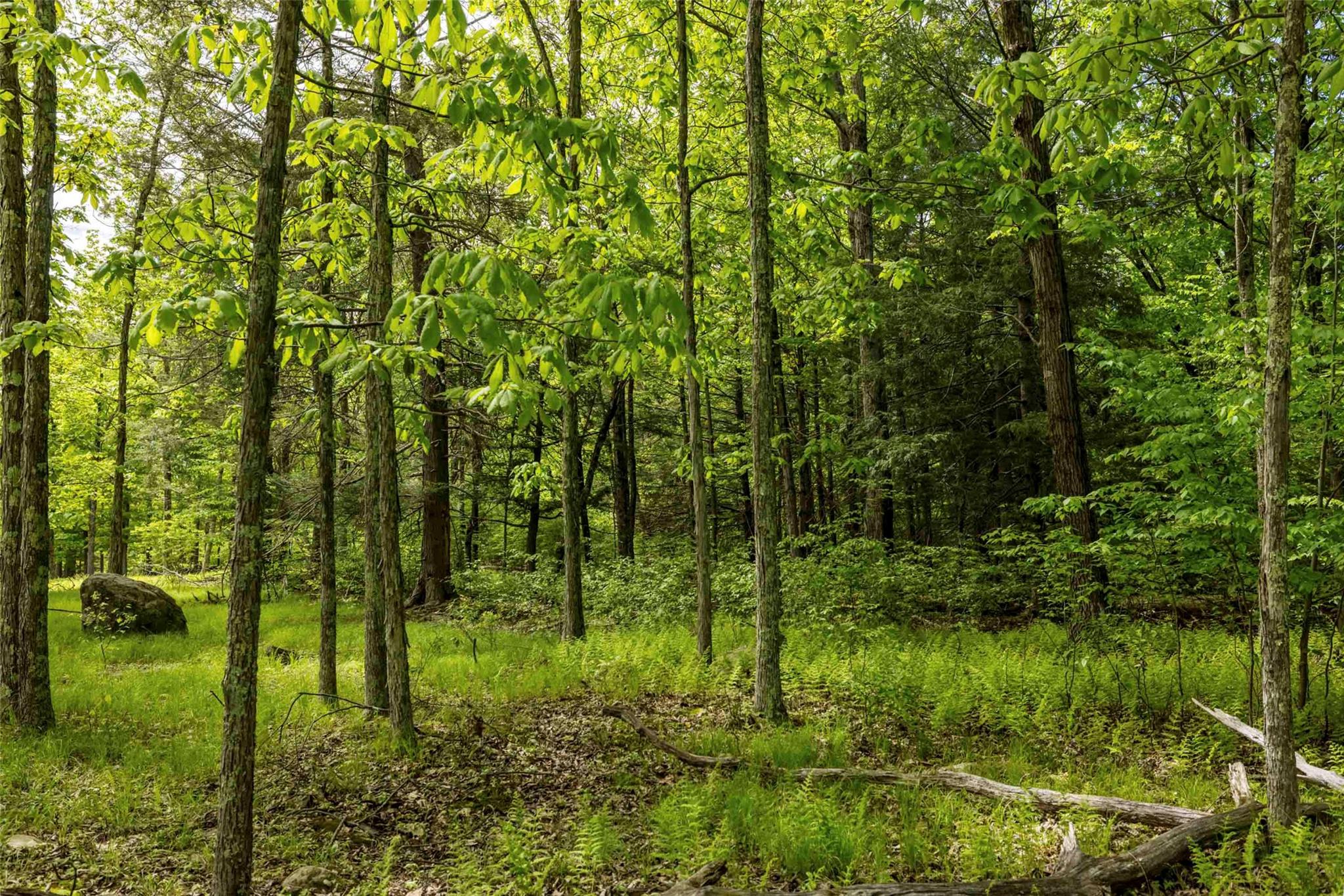 #11 photo, 8 Forest Camp Road, Wawarsing , NY 12489