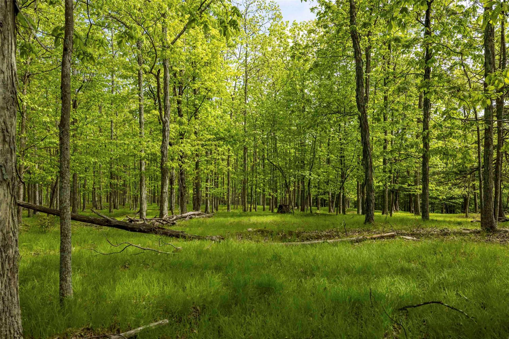 #12 photo, 8 Forest Camp Road, Wawarsing , NY 12489