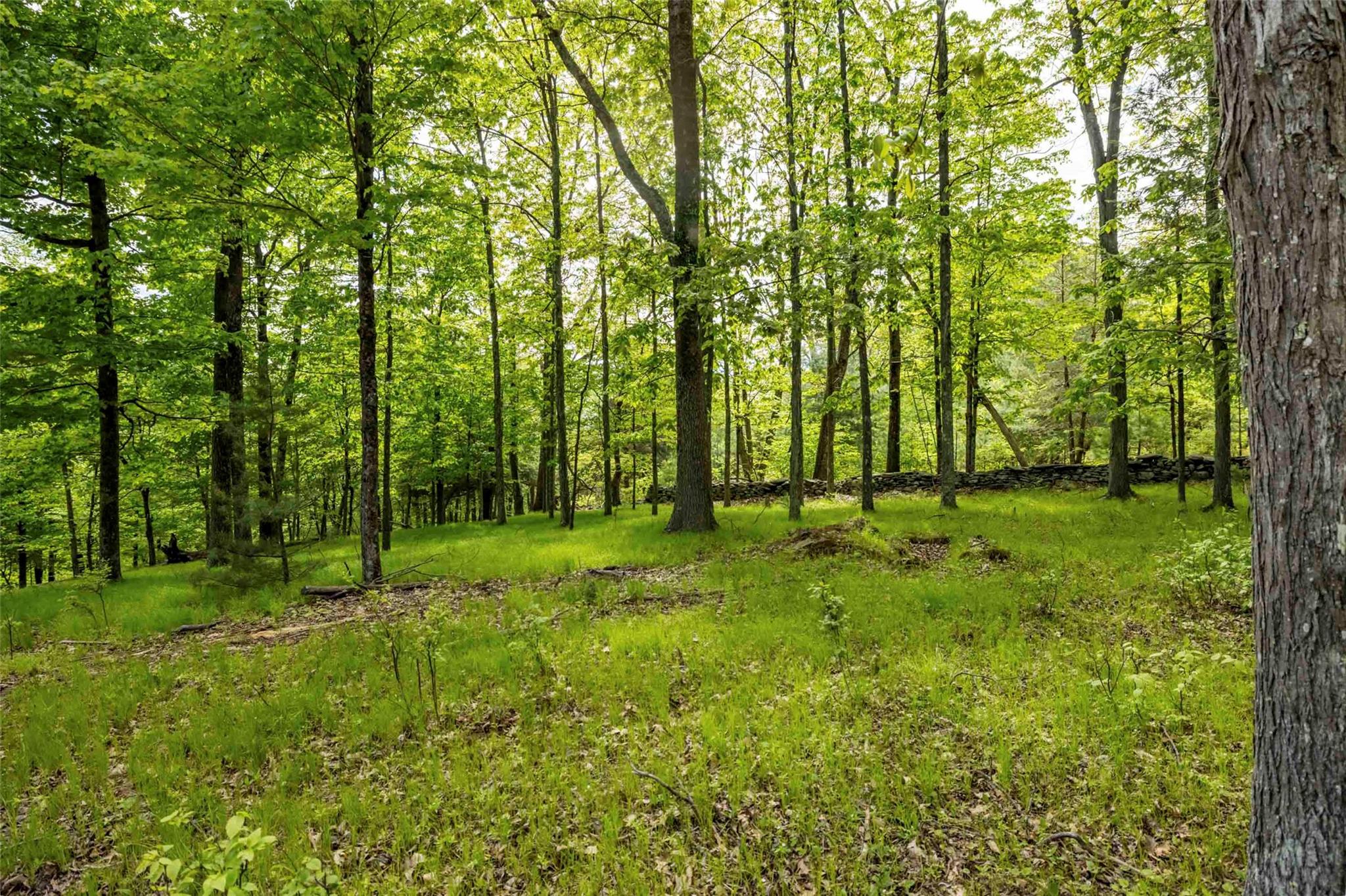 #13 photo, 8 Forest Camp Road, Wawarsing , NY 12489