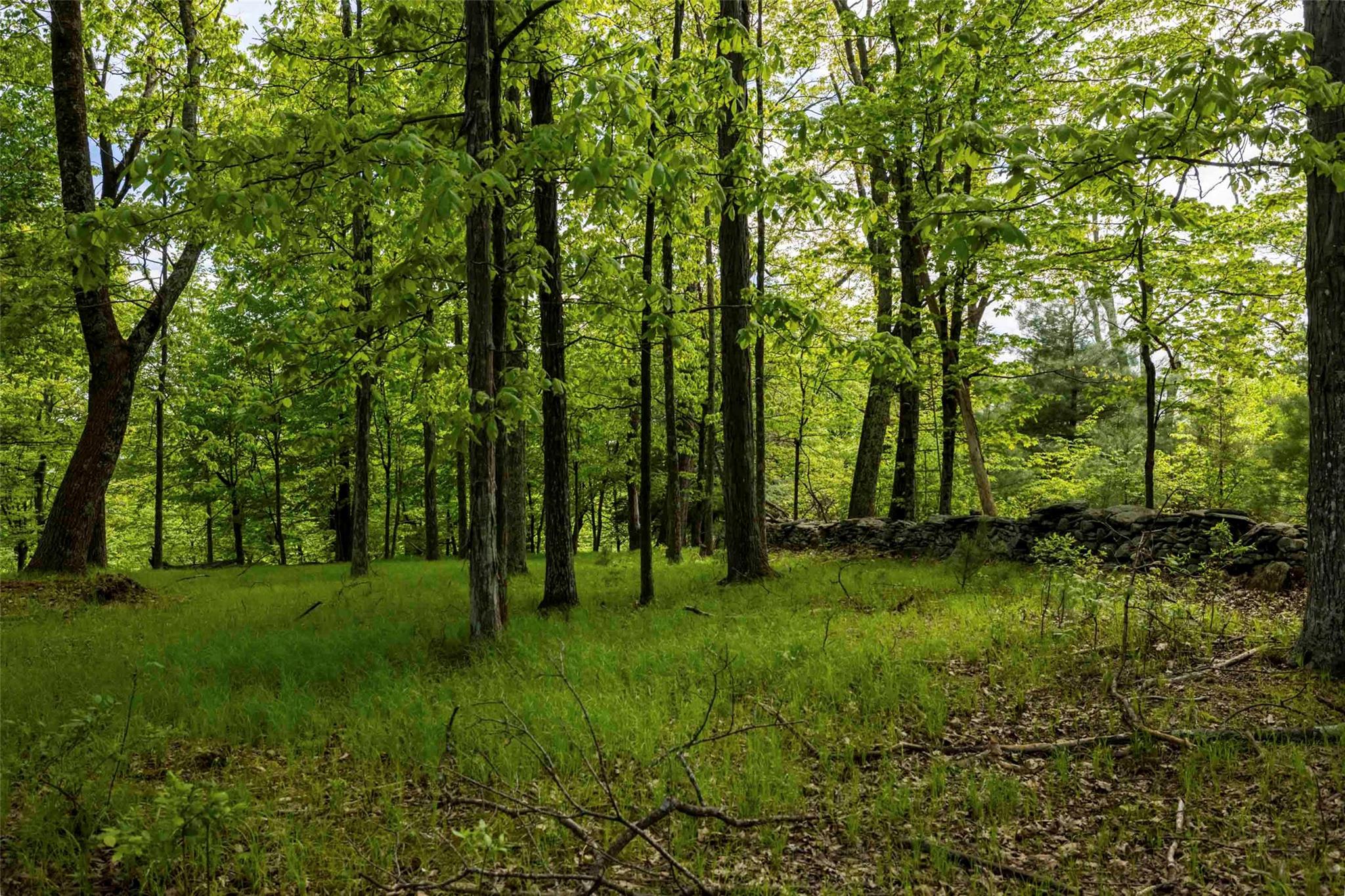 #14 photo, 8 Forest Camp Road, Wawarsing , NY 12489