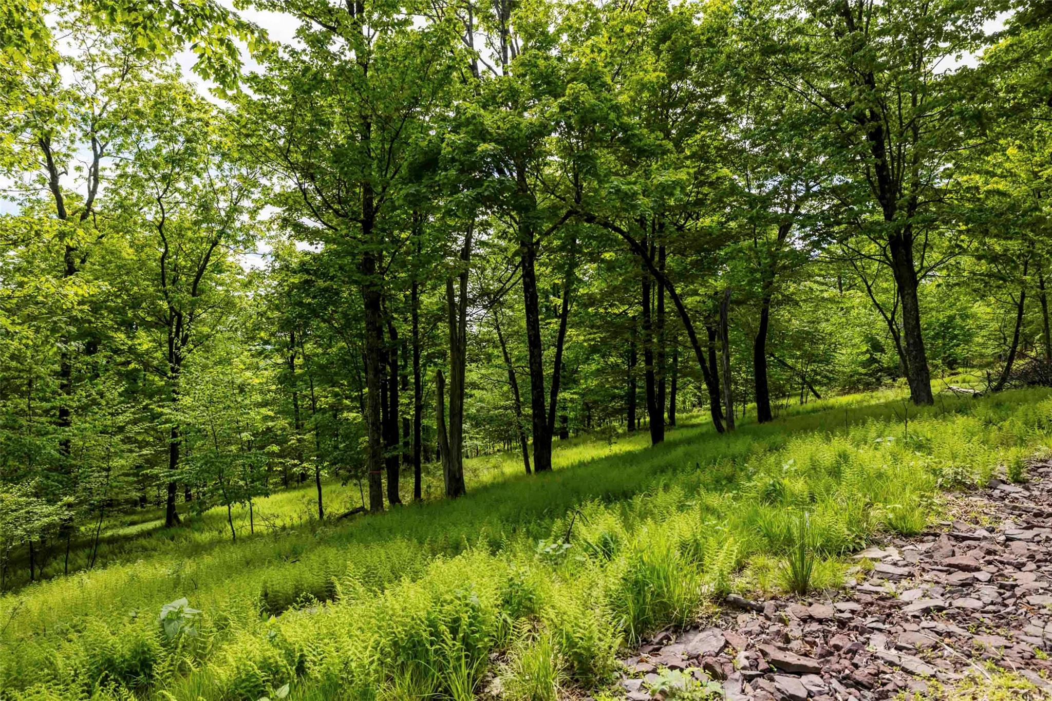 #8 photo, 8 Forest Camp Road, Wawarsing , NY 12489