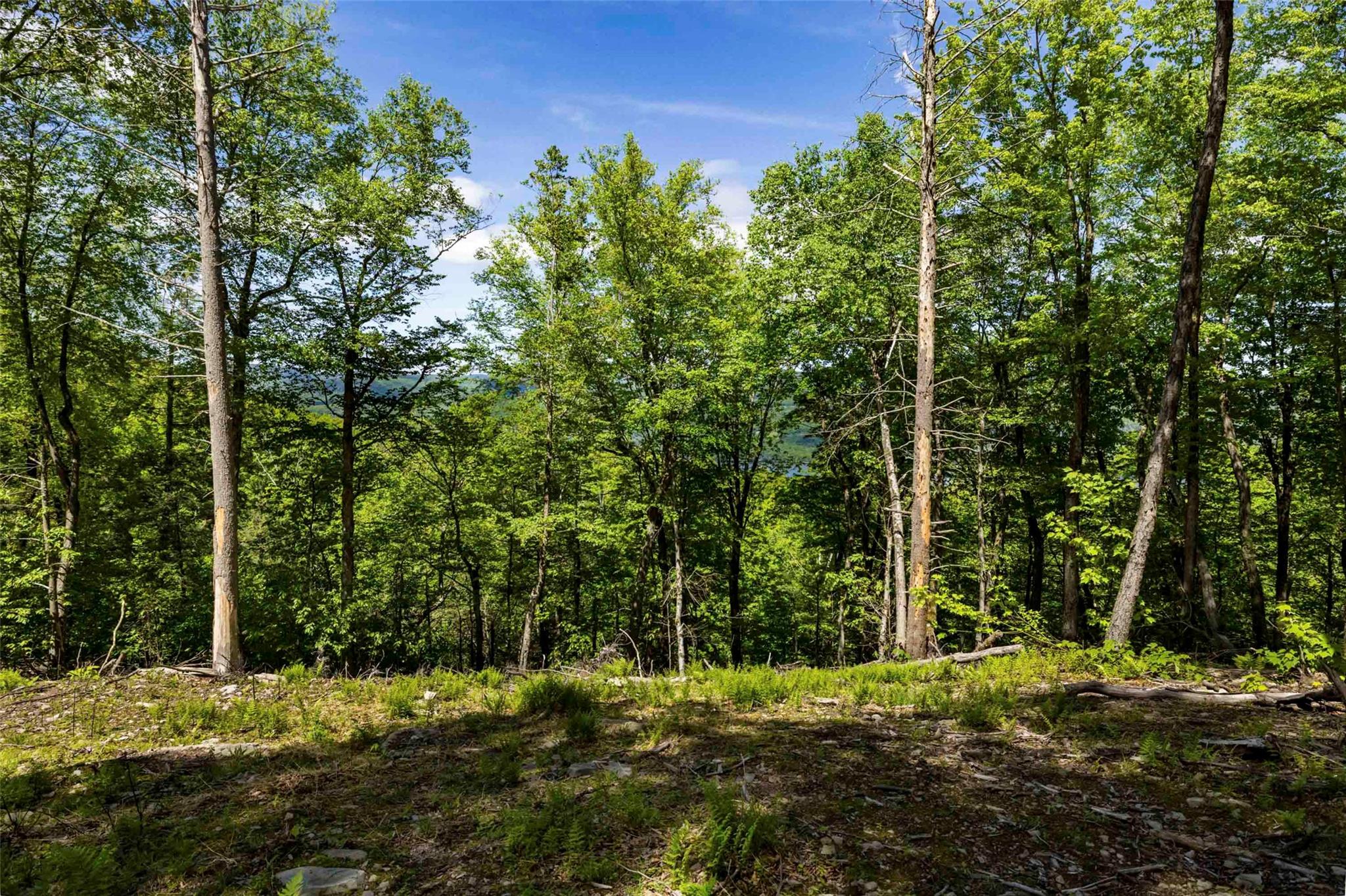 #13 photo, 1 Red Rock Road, Wawarsing , NY 12489