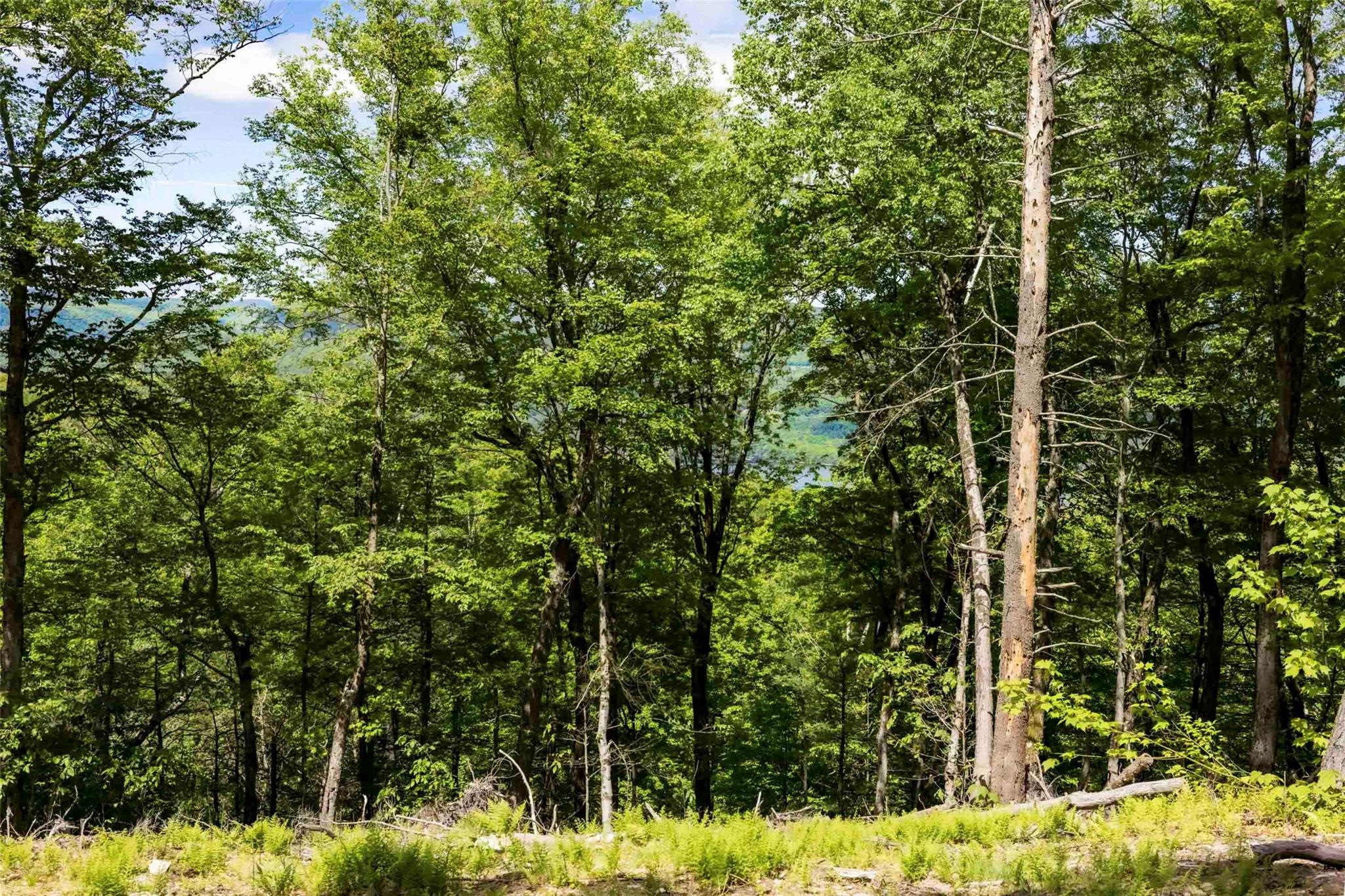 #14 photo, 1 Red Rock Road, Wawarsing , NY 12489