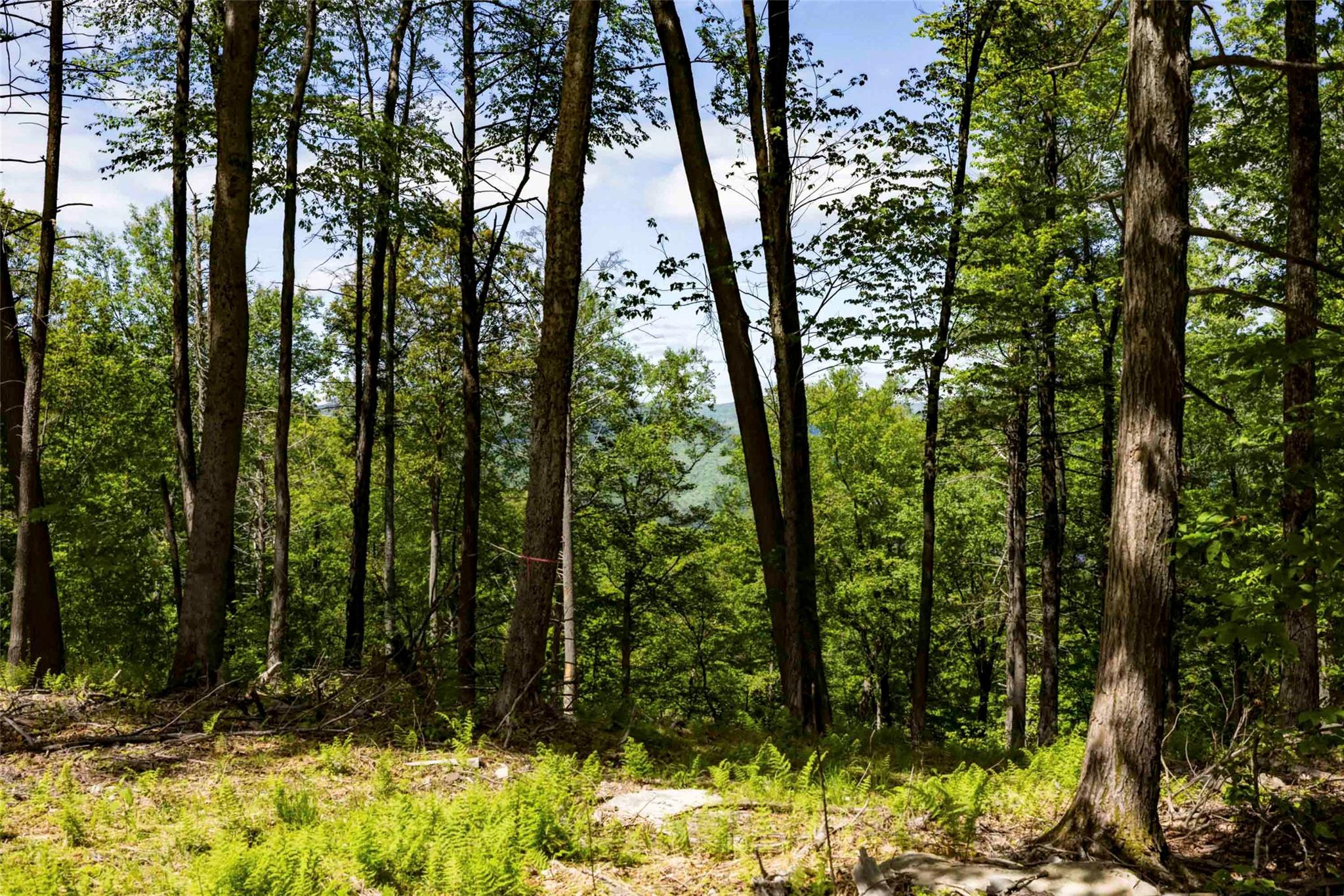 #15 photo, 1 Red Rock Road, Wawarsing , NY 12489