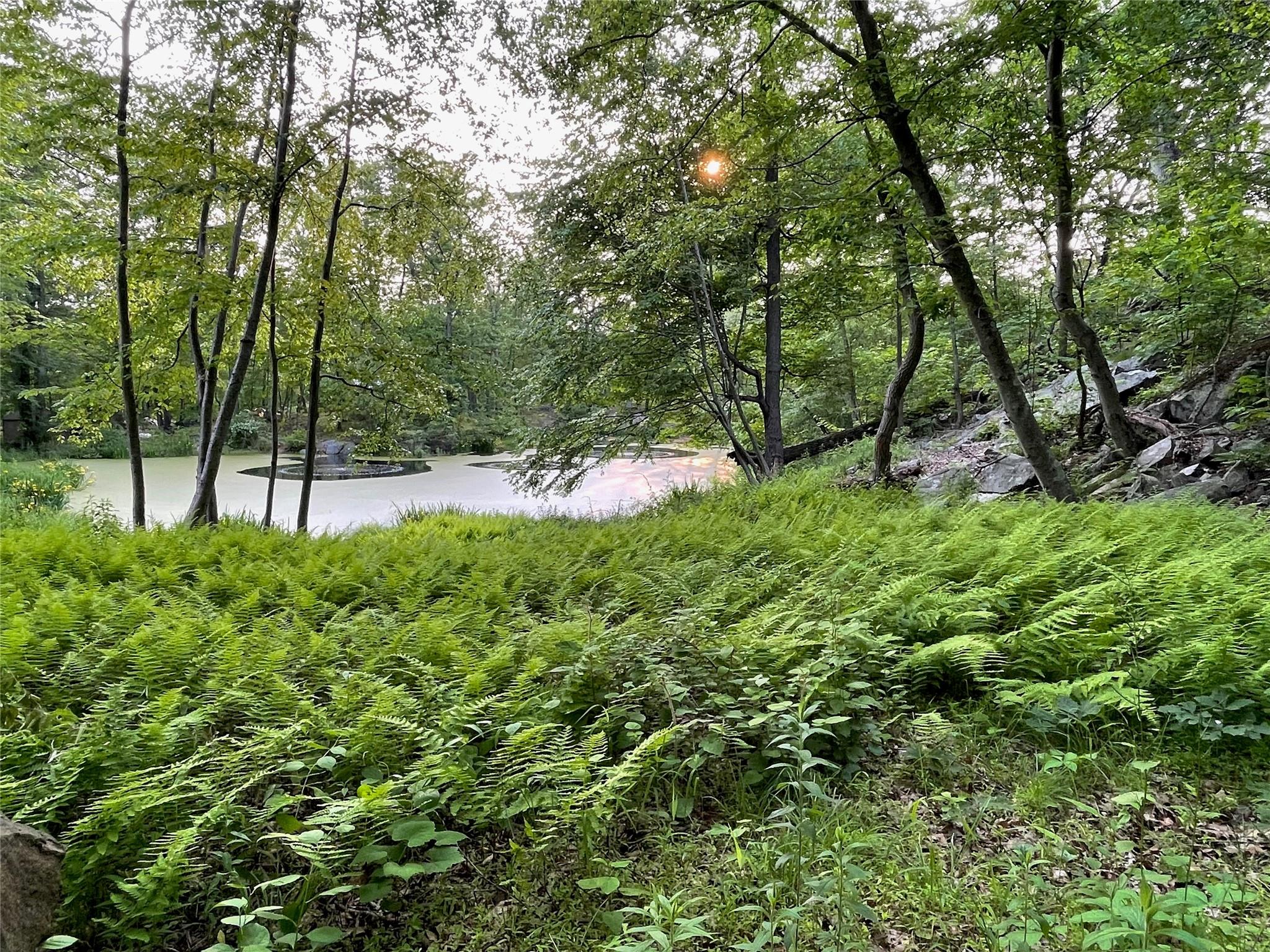 #12 photo, 50 Chapman Road, Garrison , NY 10524