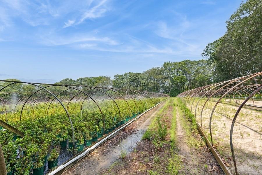 #19 photo, 550 / 538 Herricks Lane, サフォーク郡 Jamesport , NY 11901