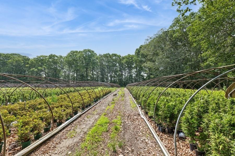 #9 photo, 550 / 538 Herricks Lane, サフォーク郡 Jamesport , NY 11901