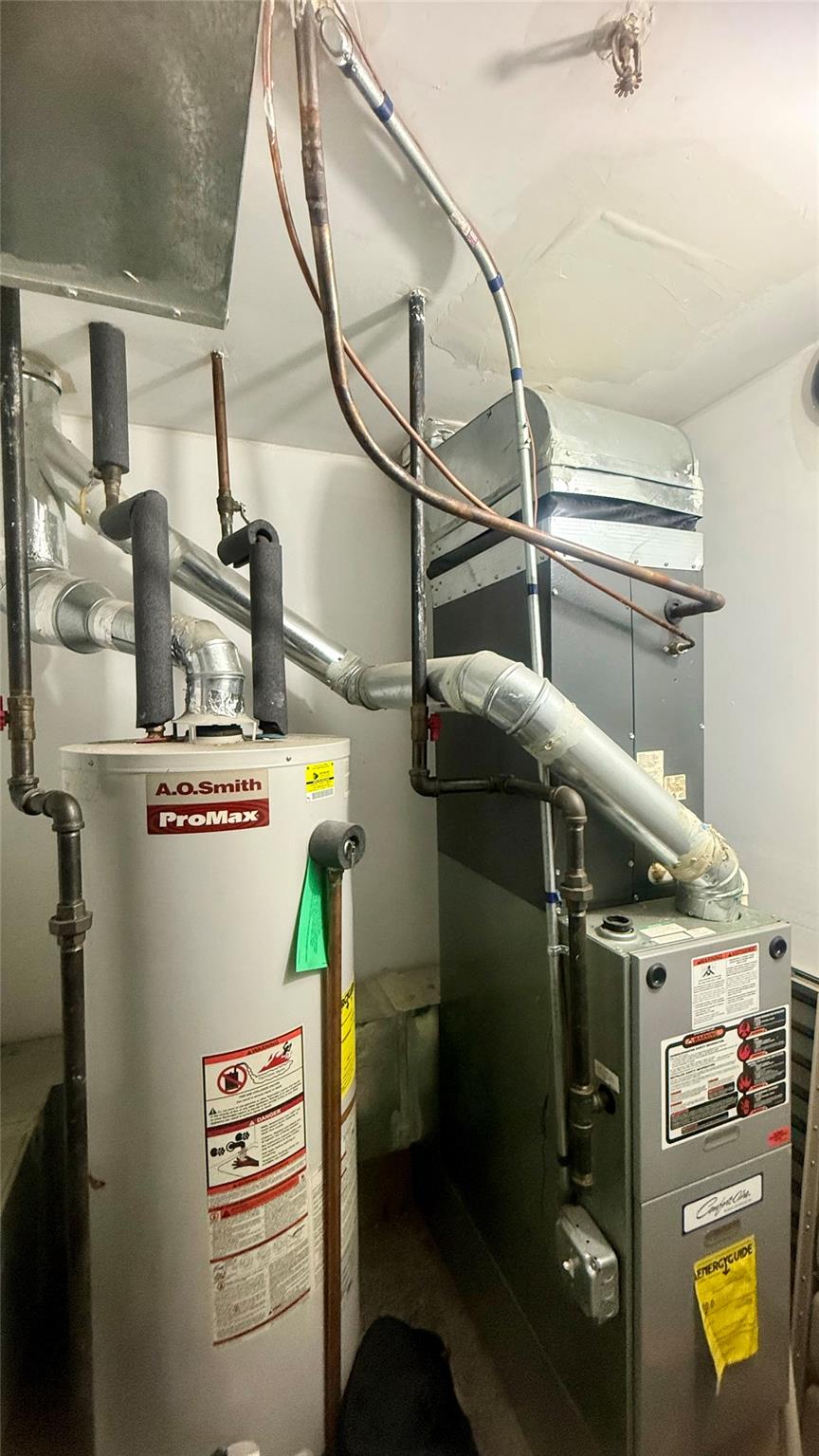 #16 photo, 8510 Elmhurst Avenue, クイーンズ区 Elmhurst , NY 11373