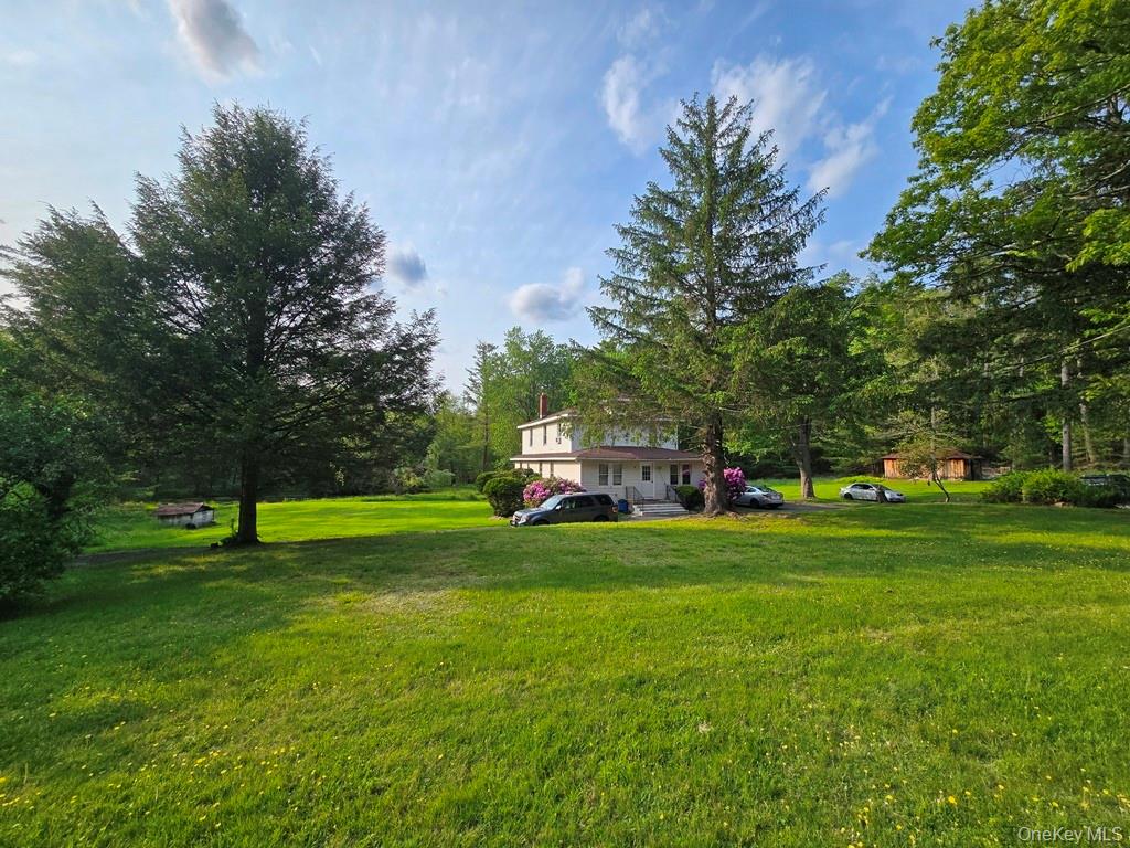 #10 photo, 54 Eldred Yulan Road, Eldred , NY 12732
