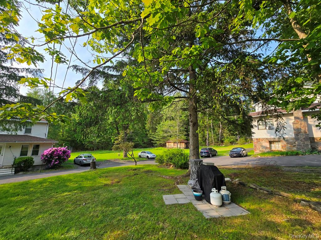 #8 photo, 54 Eldred Yulan Road, Eldred , NY 12732