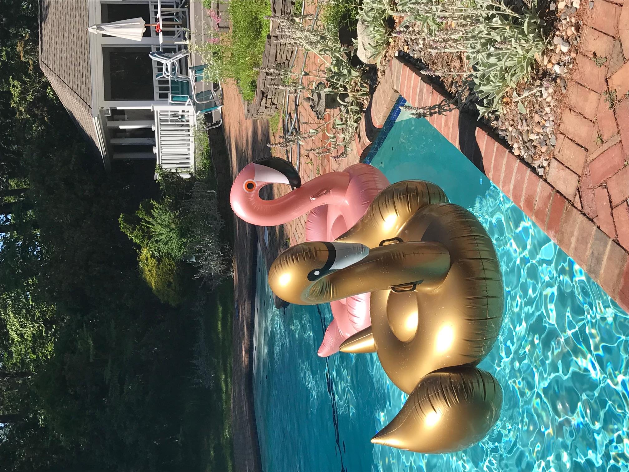 #11 photo, 66 Cliff Road, Port Jefferson , NY 11777