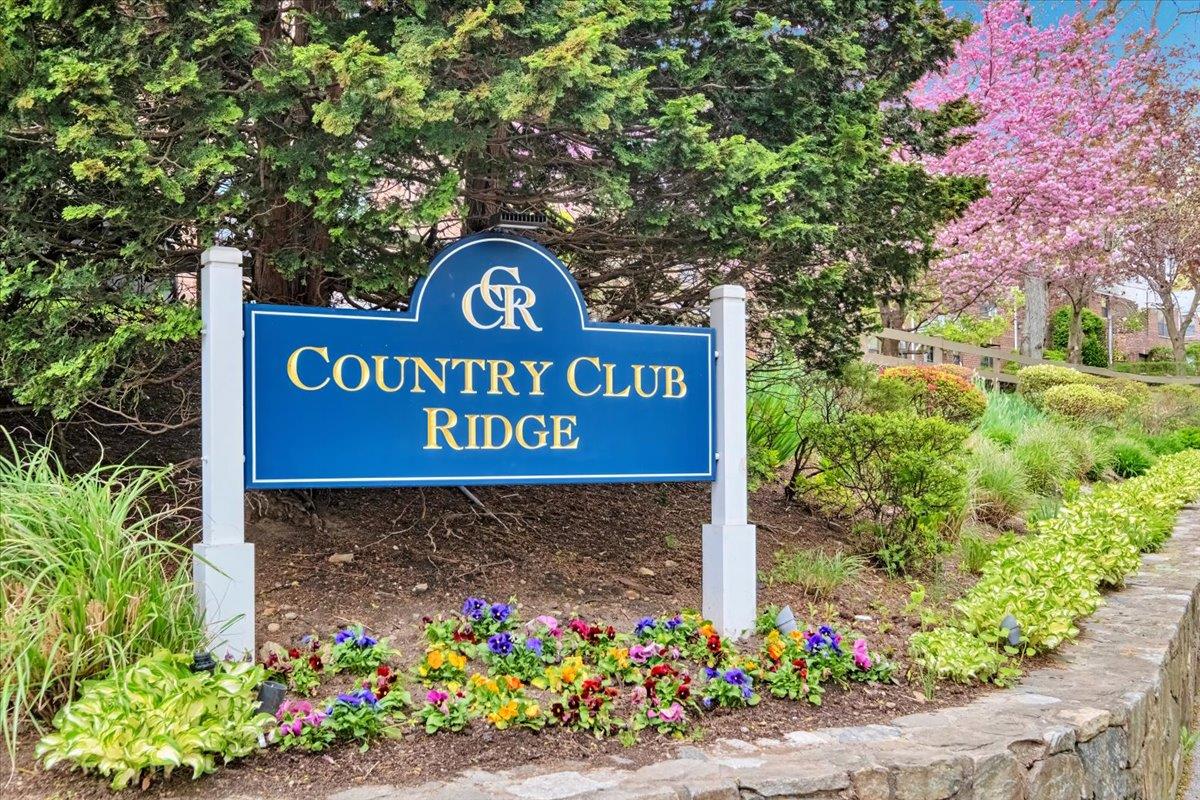 #1 photo, 19 Rockledge Road, Hartsdale , NY 10530