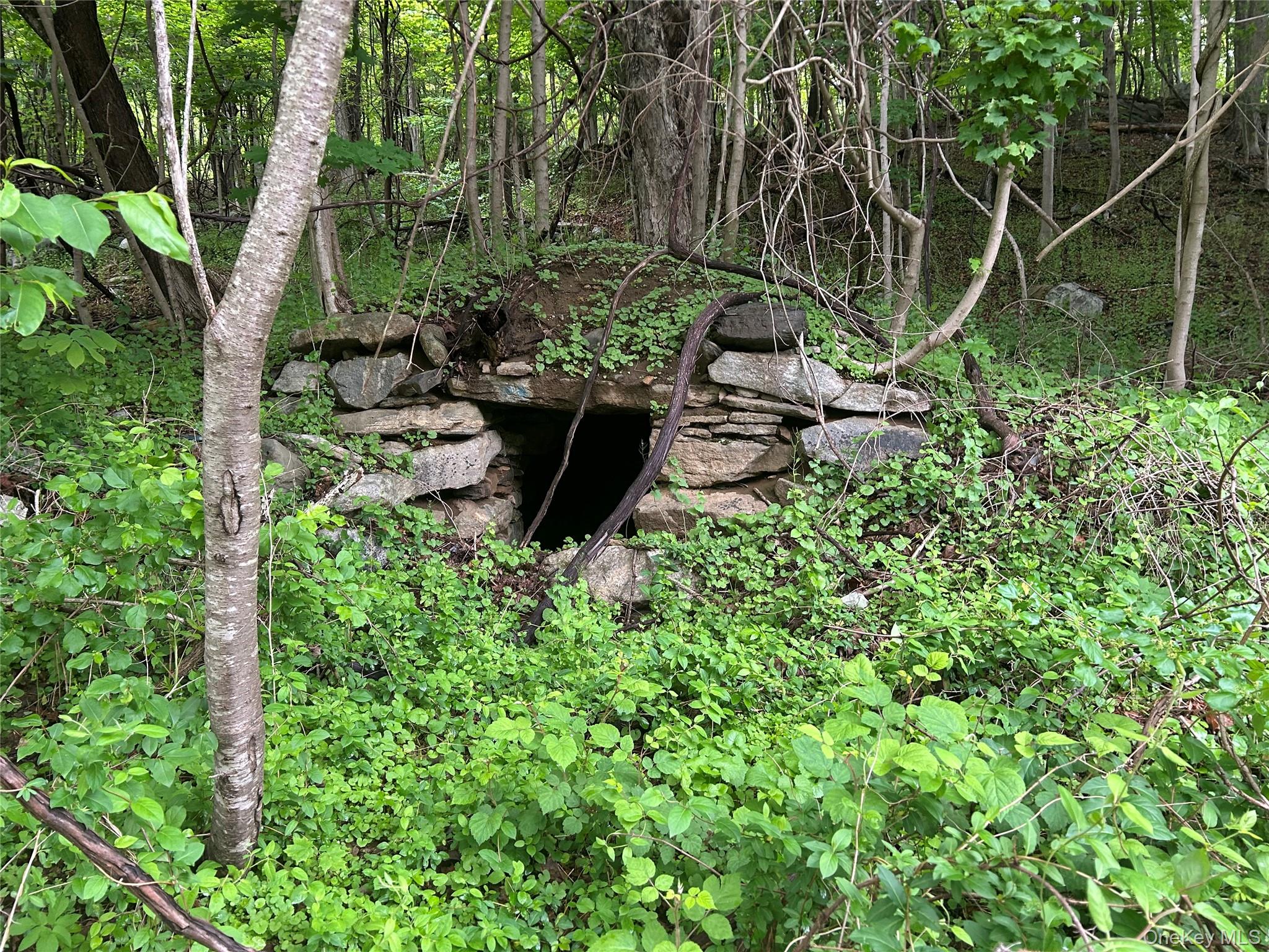 #9 photo, 541 Route 52, Carmel , NY 10512