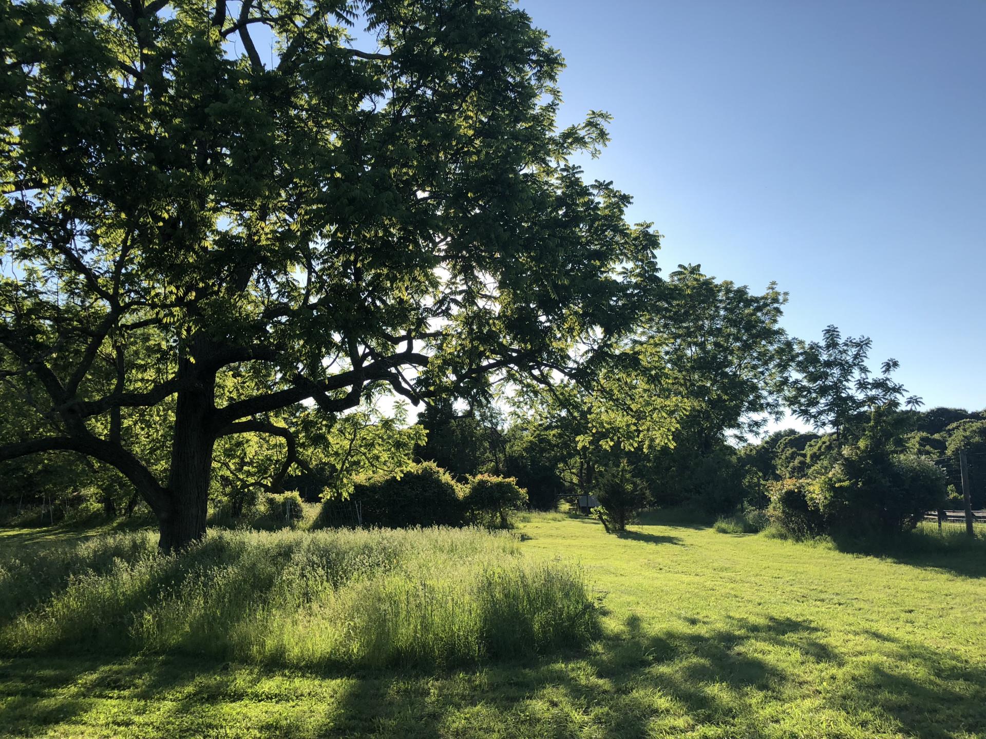 #11 photo, Smithtown, サフォーク郡 Smithtown , NY 11787