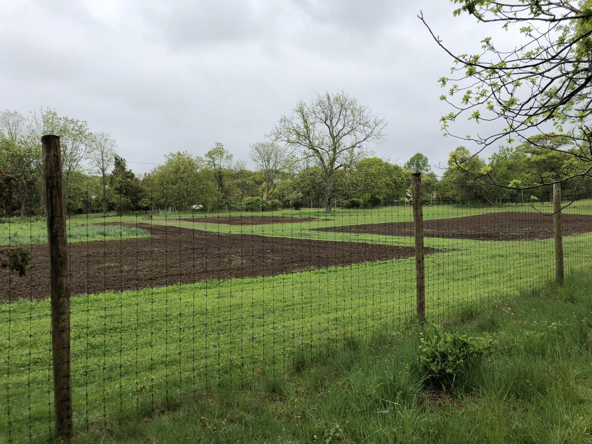 #13 photo, Smithtown, サフォーク郡 Smithtown , NY 11787