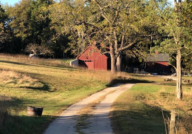 #14 photo, Smithtown, サフォーク郡 Smithtown , NY 11787