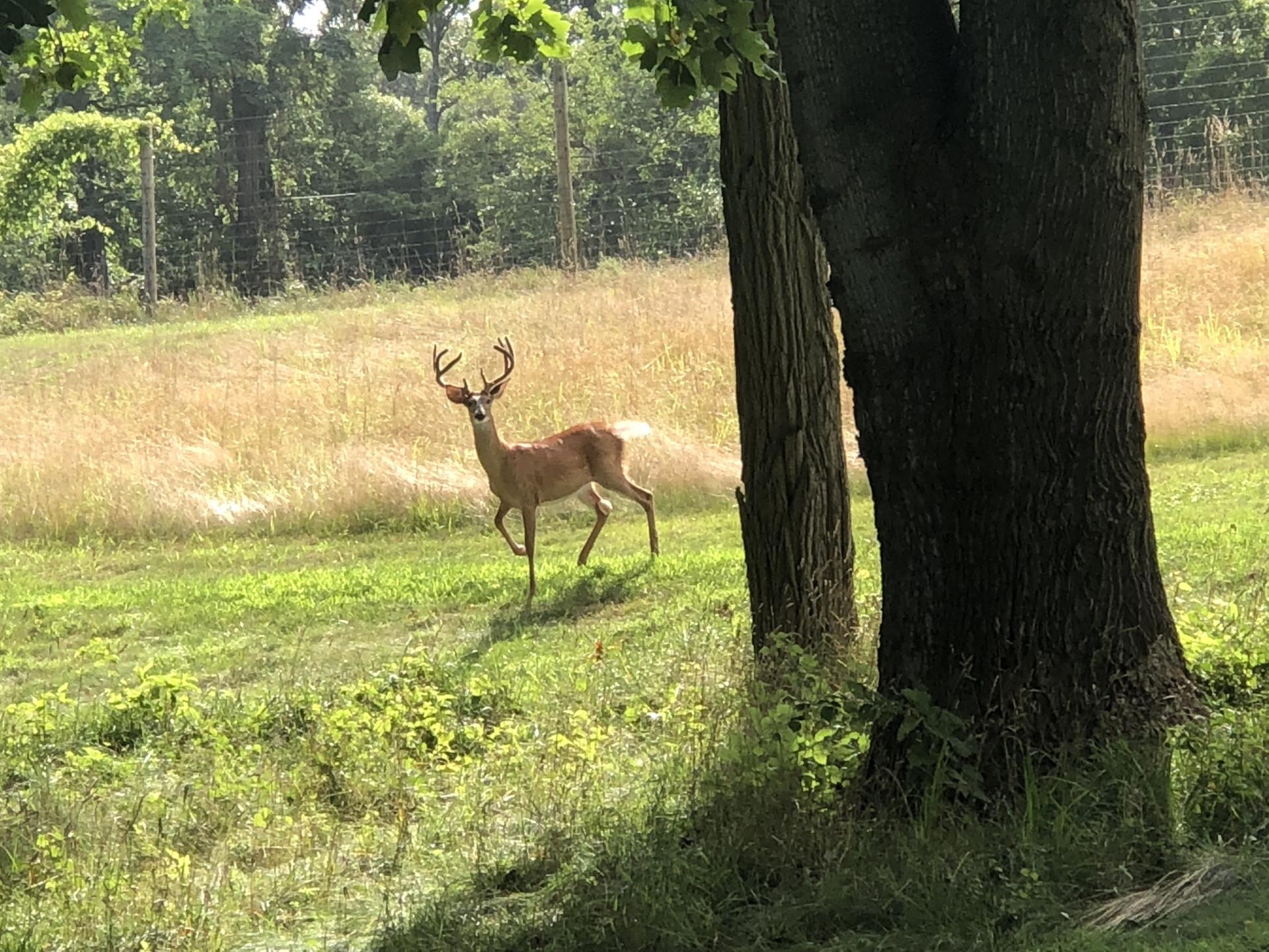 #17 photo, Smithtown, サフォーク郡 Smithtown , NY 11787