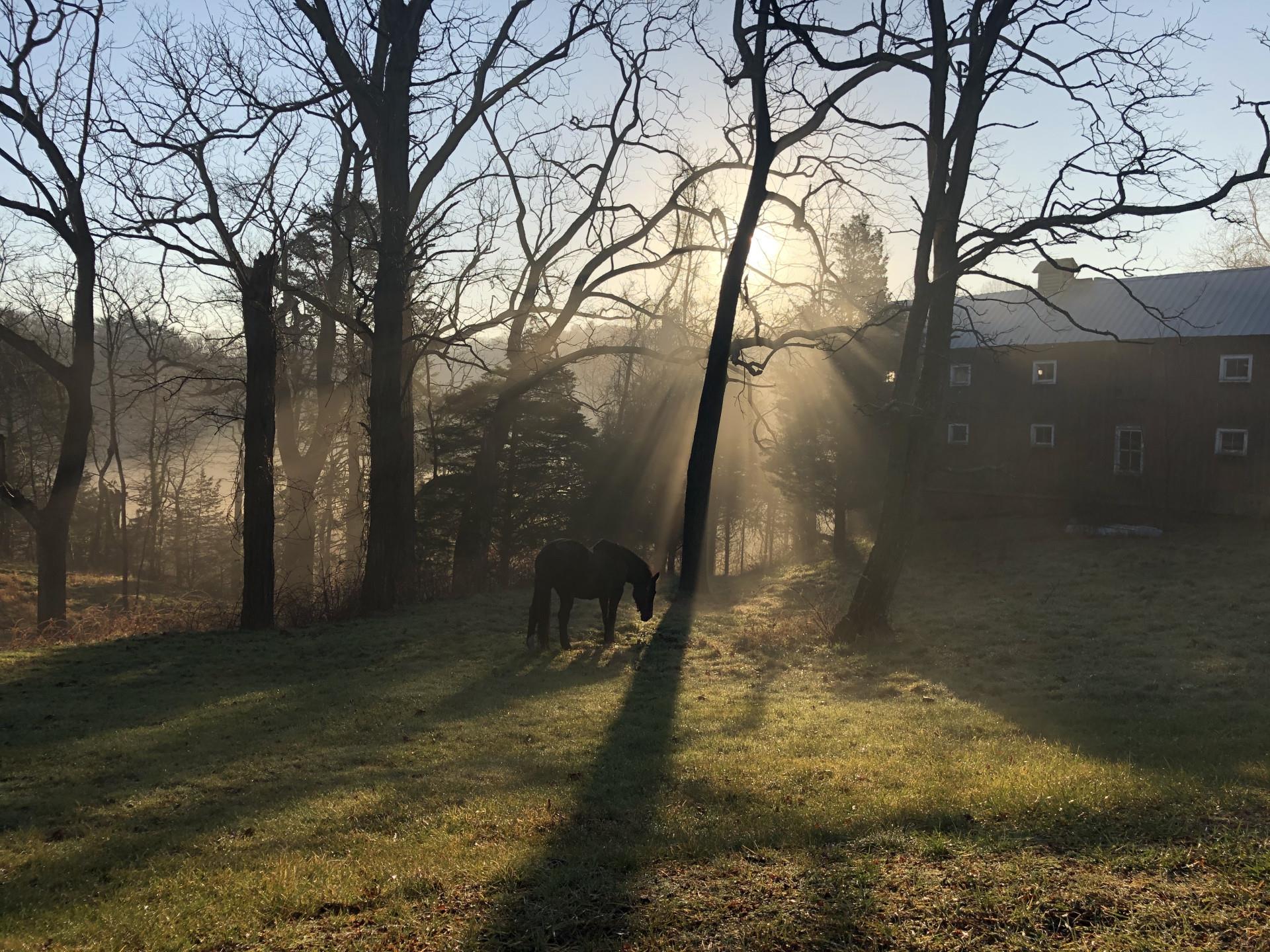 #2 photo, Smithtown, サフォーク郡 Smithtown , NY 11787