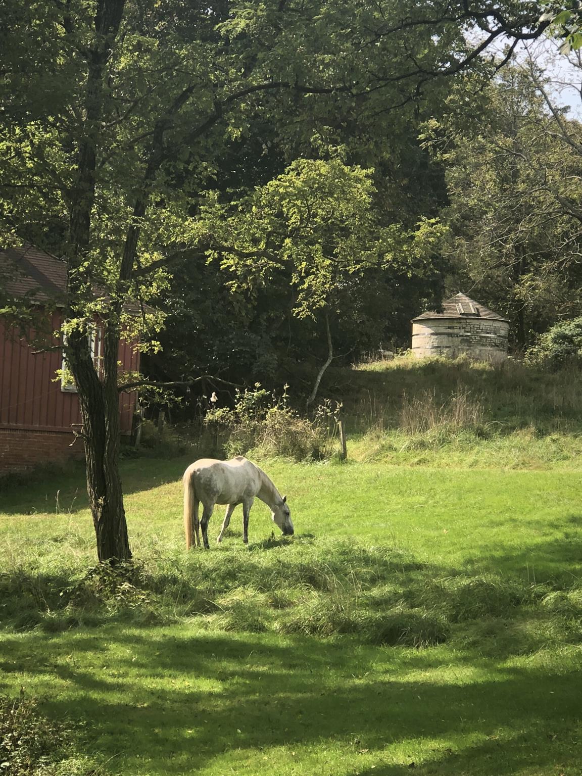 #5 photo, Smithtown, サフォーク郡 Smithtown , NY 11787