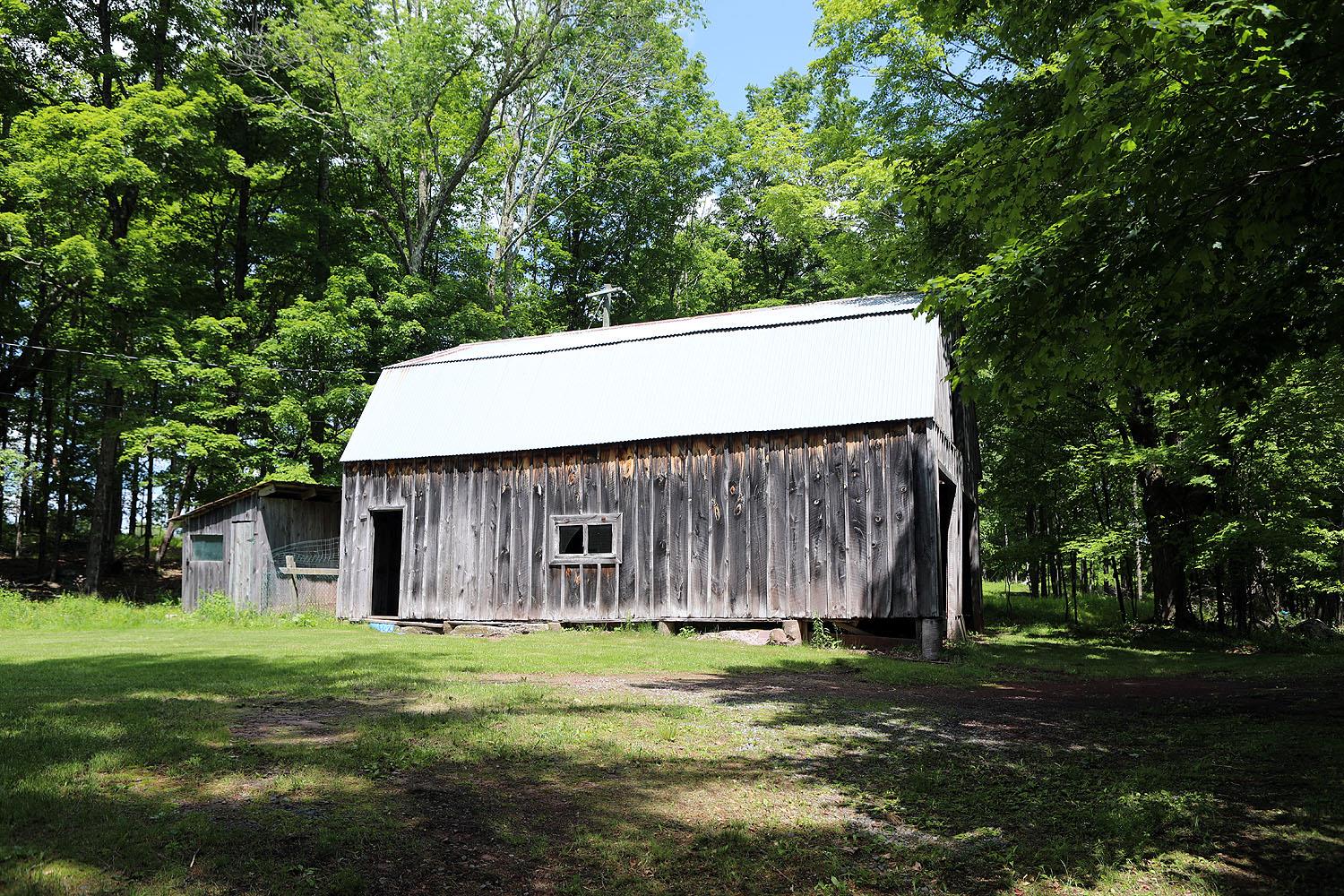 #11 photo, 342 Bernas Road, 紐約州 Cochecton , NY 12726