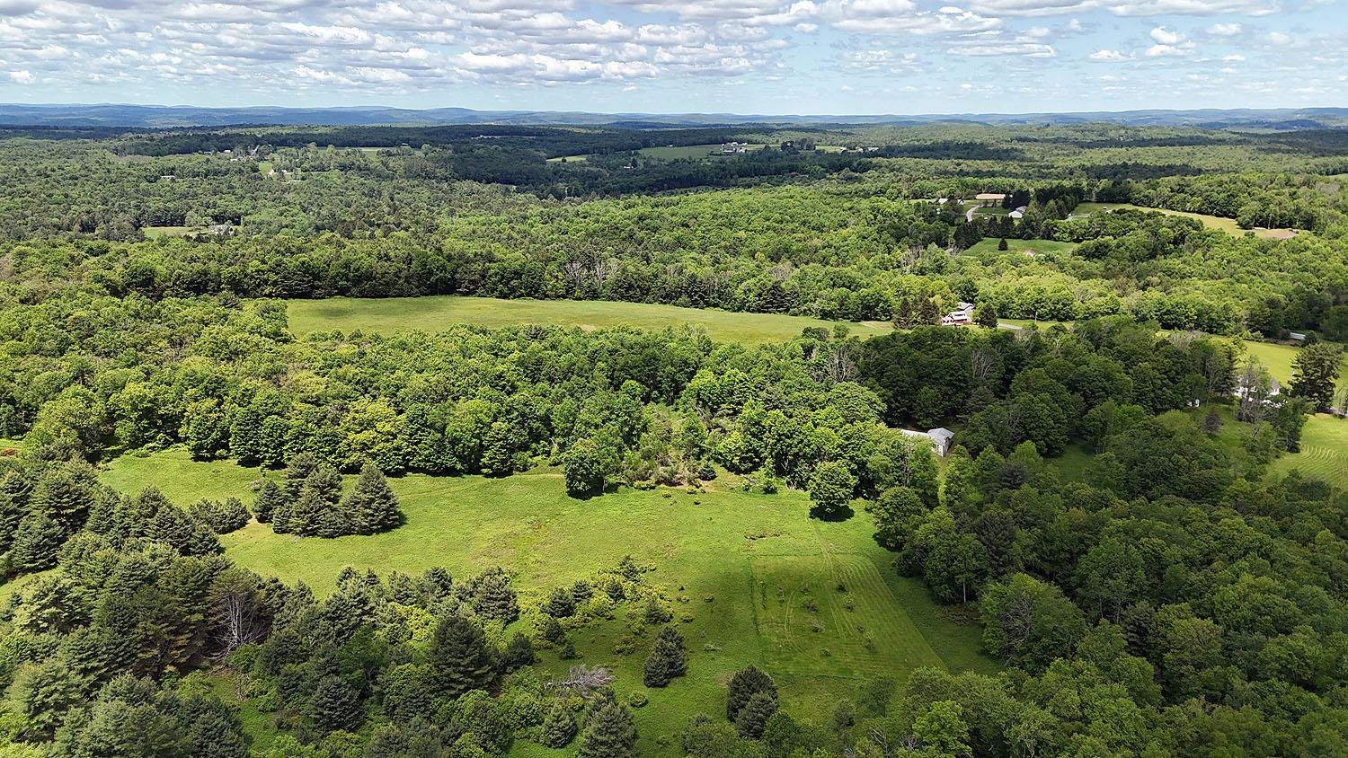 #14 photo, 342 Bernas Road, 紐約州 Cochecton , NY 12726