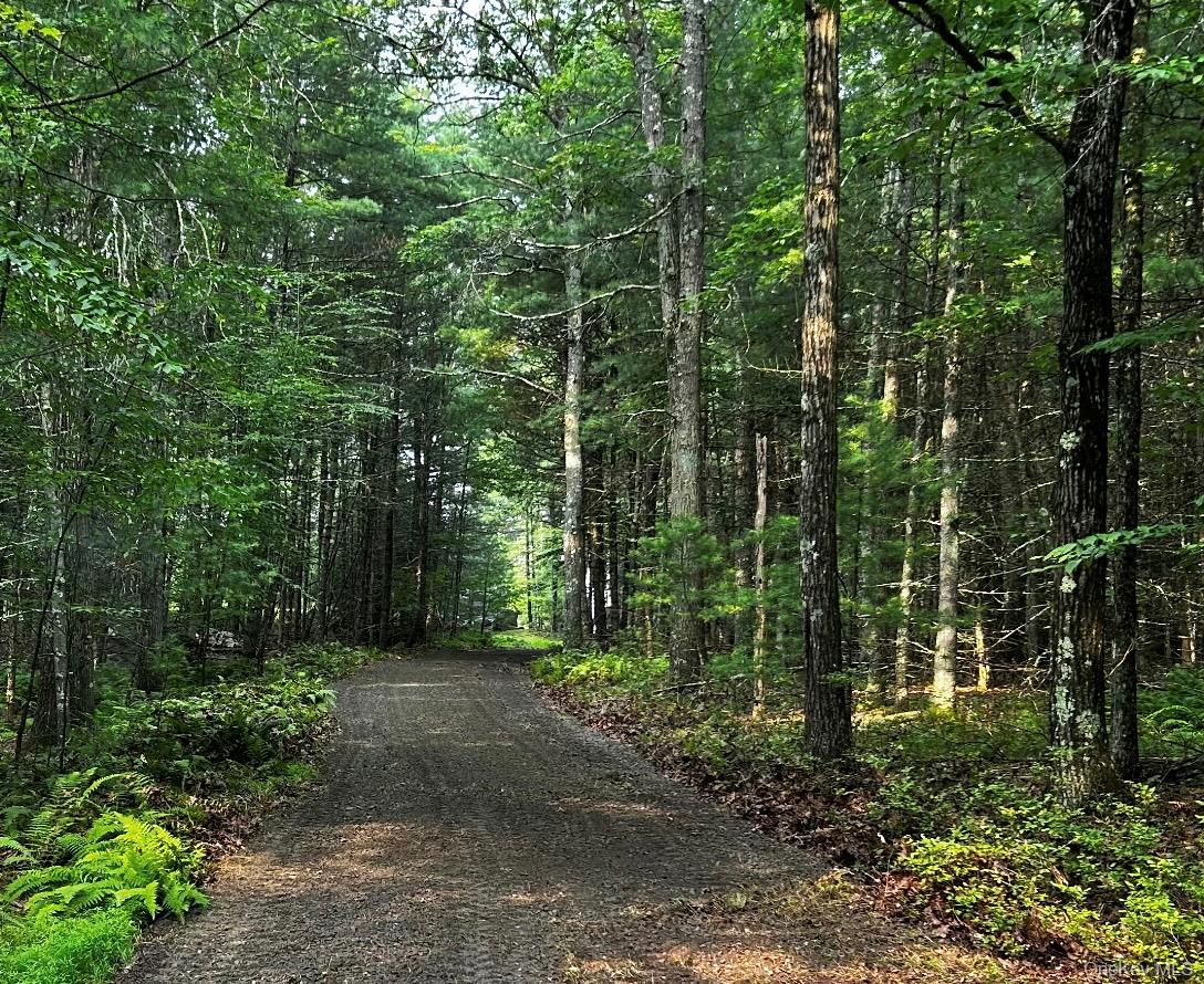 #10 photo, Lot 1 Eagle View Road, Narrowsburg , NY 12764