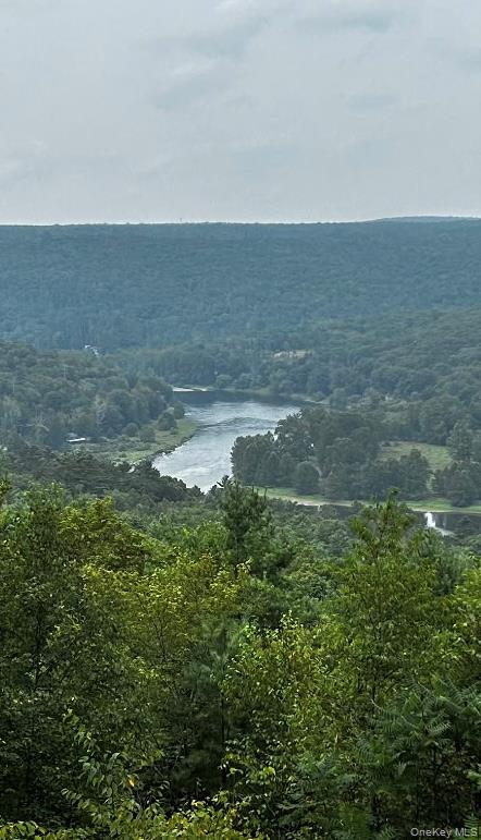 #3 photo, Lot 1 Eagle View Road, Narrowsburg , NY 12764