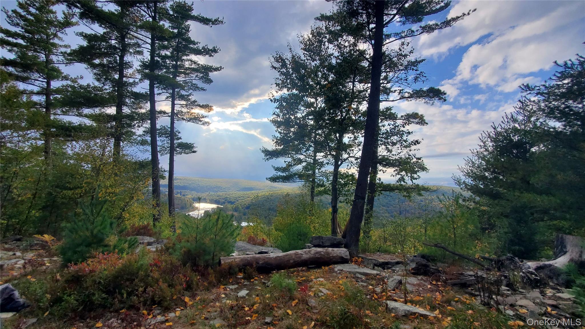 #4 photo, Lot 1 Eagle View Road, Narrowsburg , NY 12764