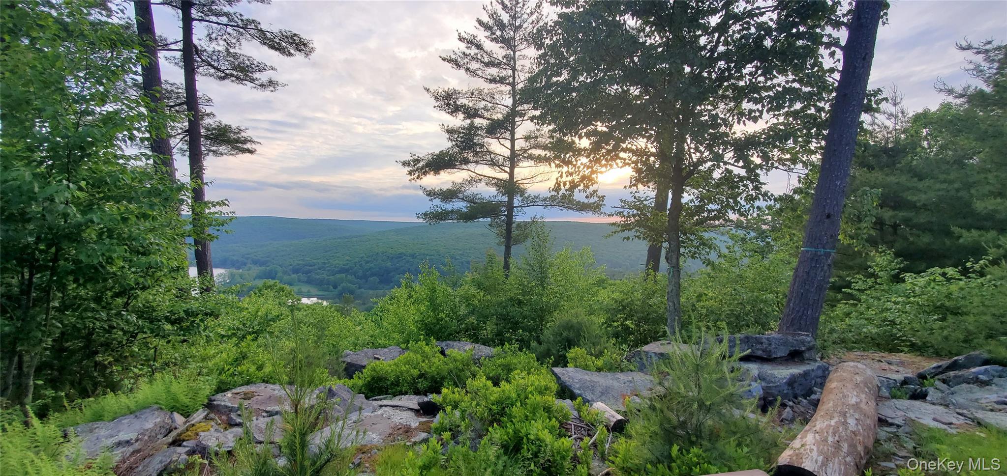 #5 photo, Lot 1 Eagle View Road, Narrowsburg , NY 12764