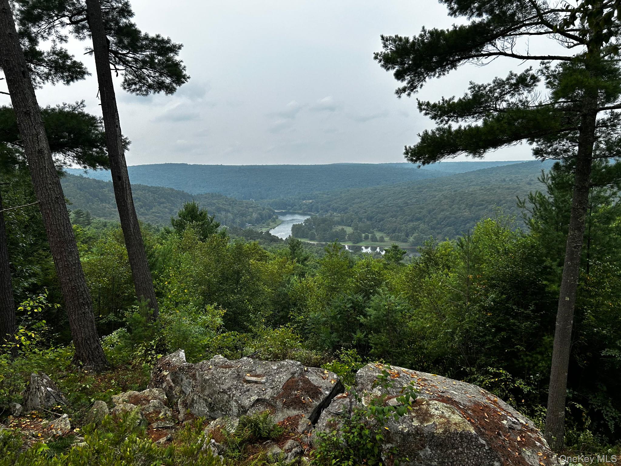 #6 photo, Lot 1 Eagle View Road, Narrowsburg , NY 12764