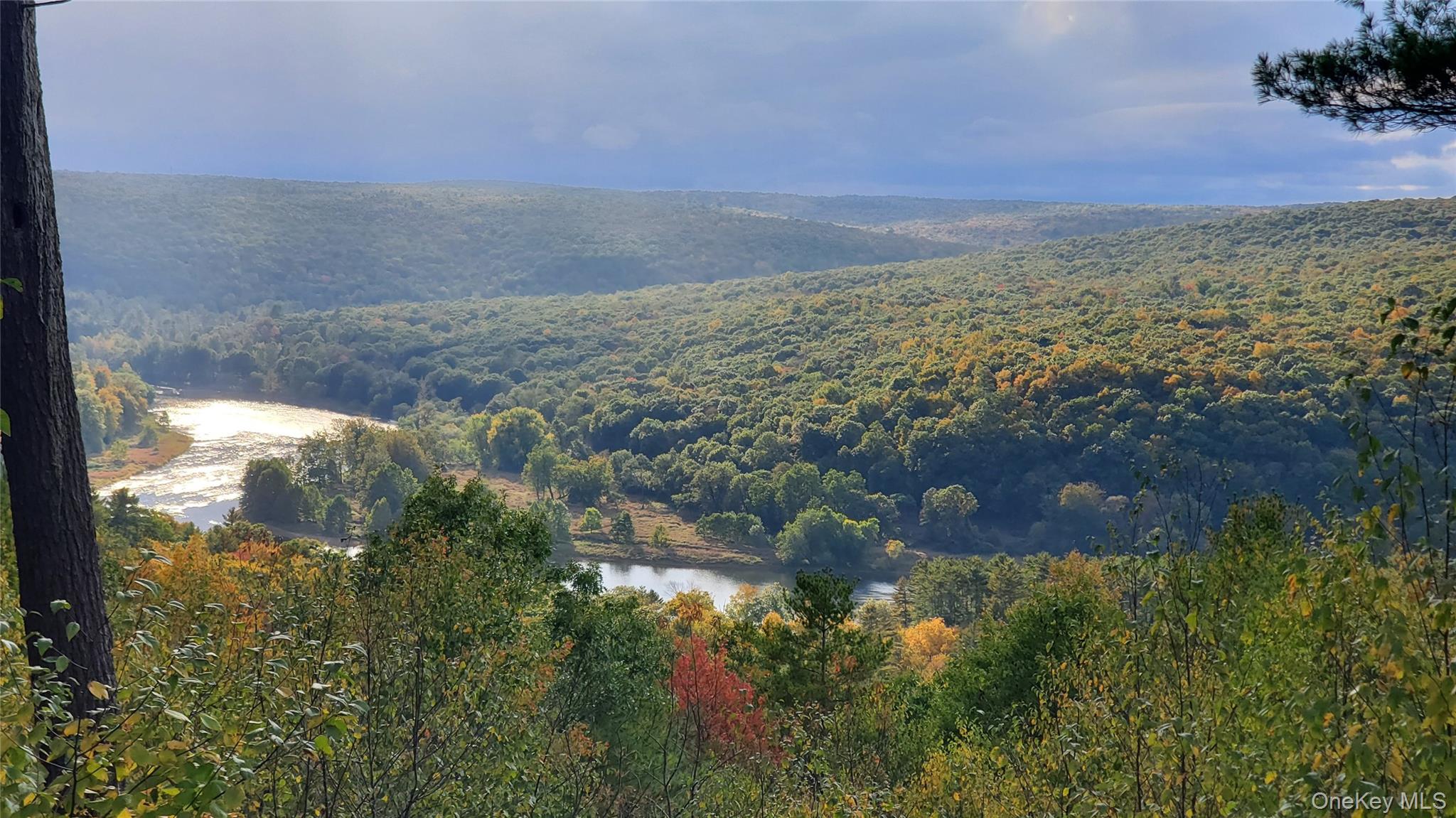 #7 photo, Lot 1 Eagle View Road, Narrowsburg , NY 12764